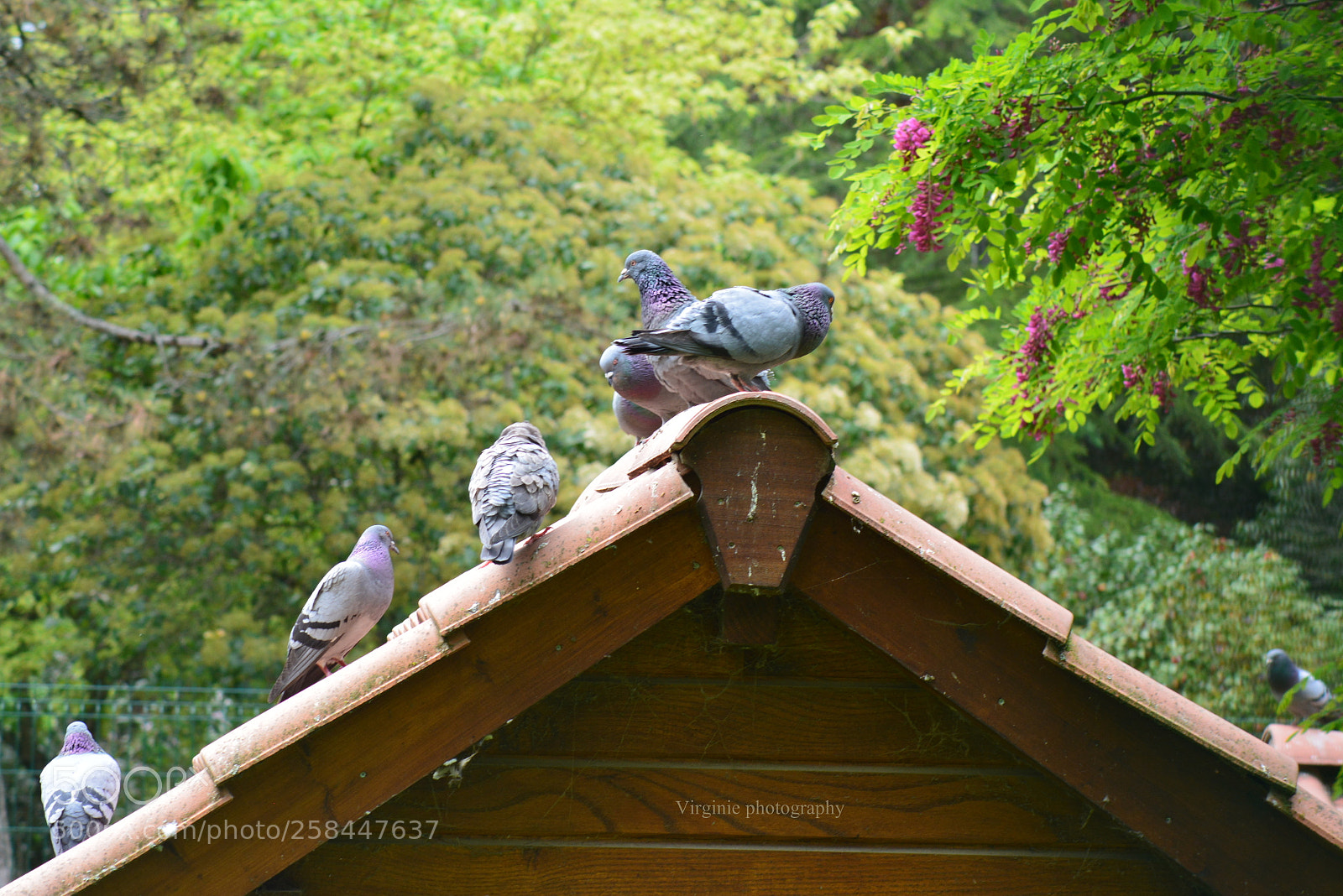 Nikon D5200 sample photo. Entre ami(es) photography