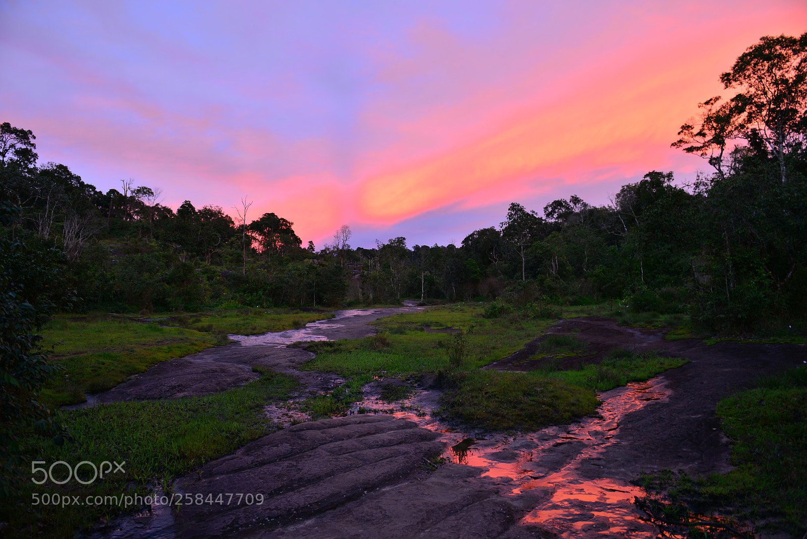 Nikon D800 sample photo. Colorful nature photography
