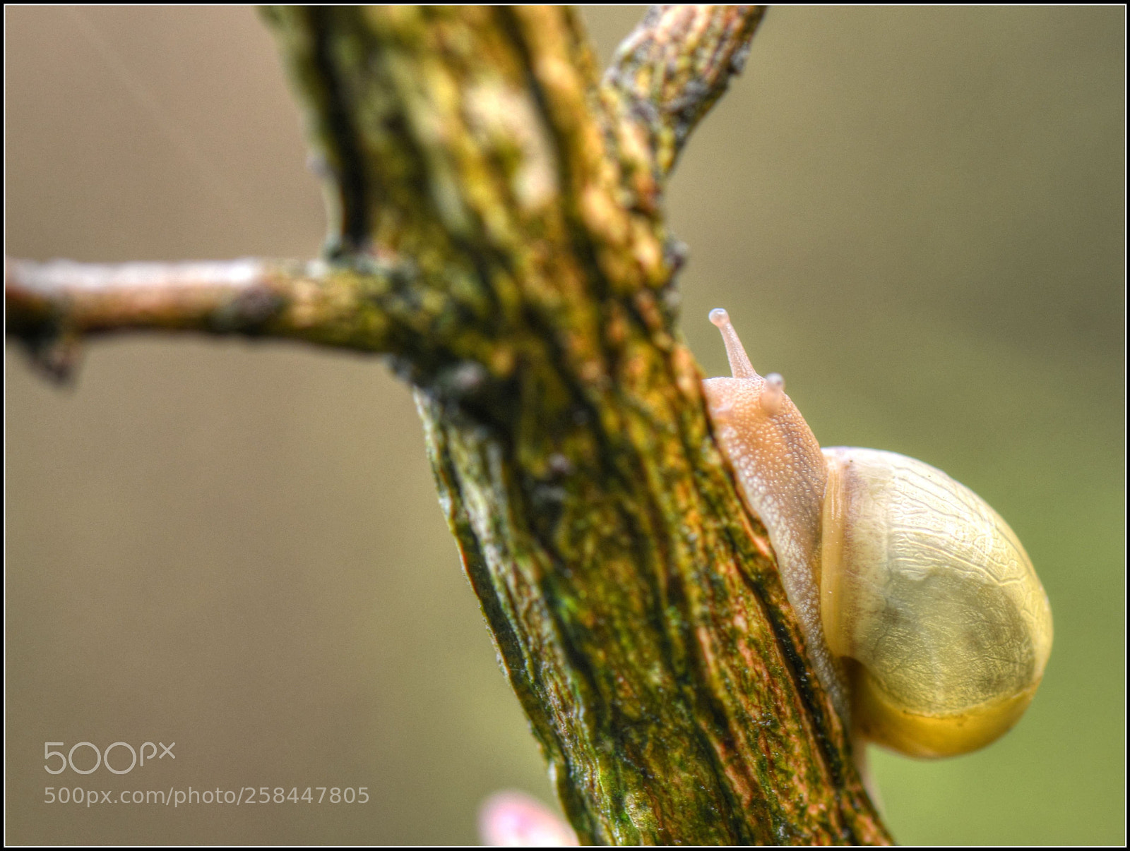 Nikon D800 sample photo. Auf gehts photography