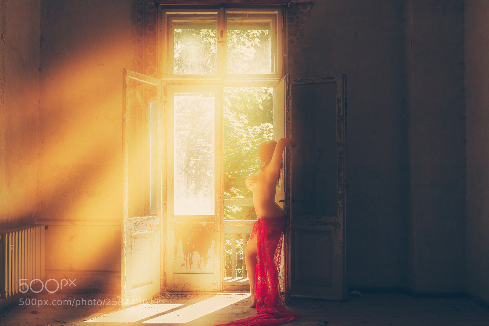 Nikon D750 sample photo. Warm light photography