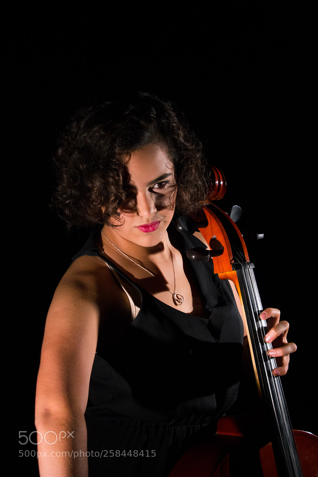 Canon EOS 550D (EOS Rebel T2i / EOS Kiss X4) sample photo. Cellist. photography