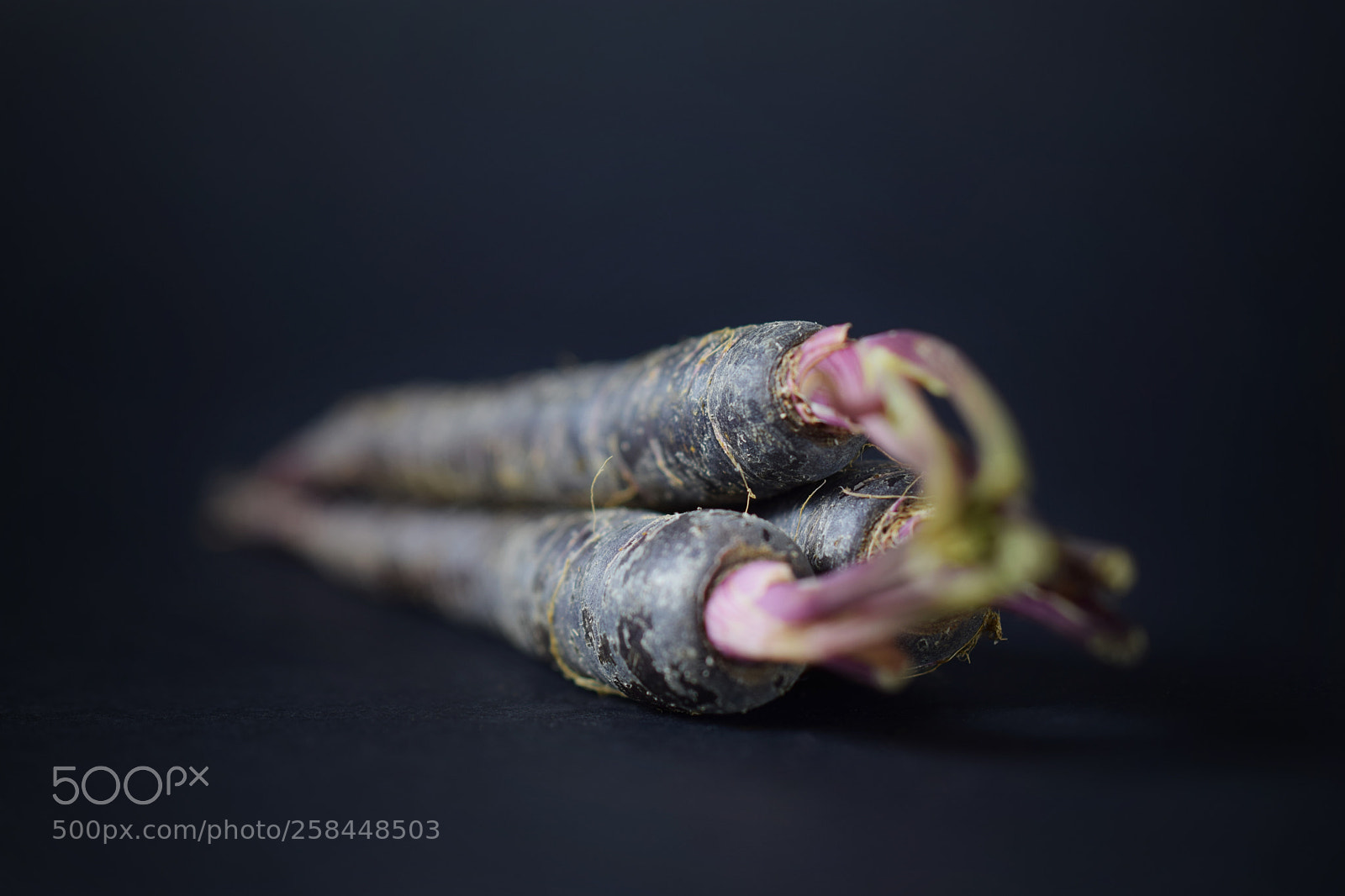 Nikon D5300 sample photo. Carrots photography