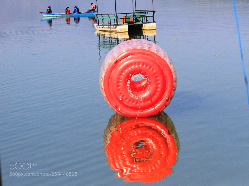 Canon EOS 7D sample photo. Copy of mg photography