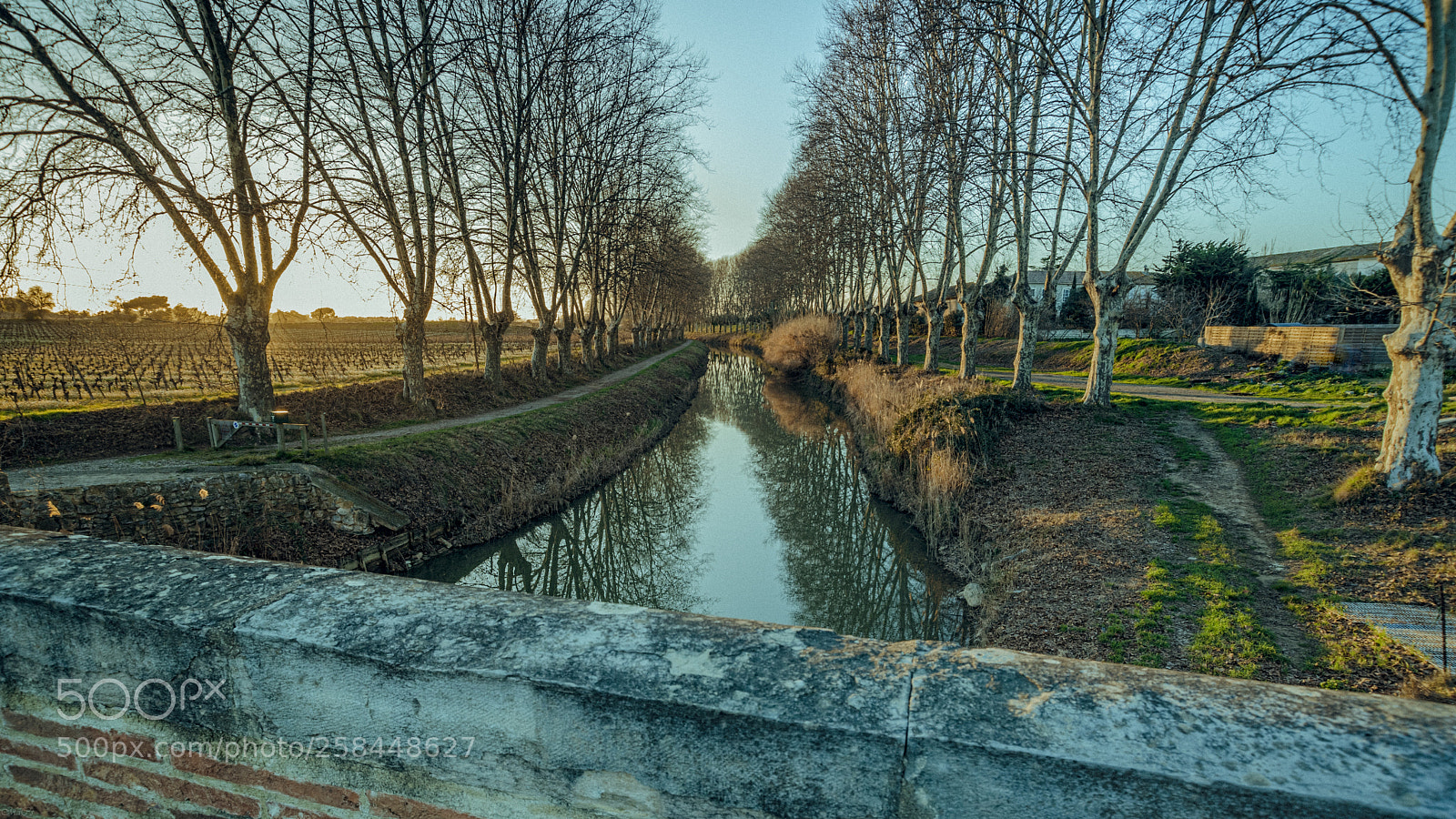 Nikon D750 sample photo. Analysant photography