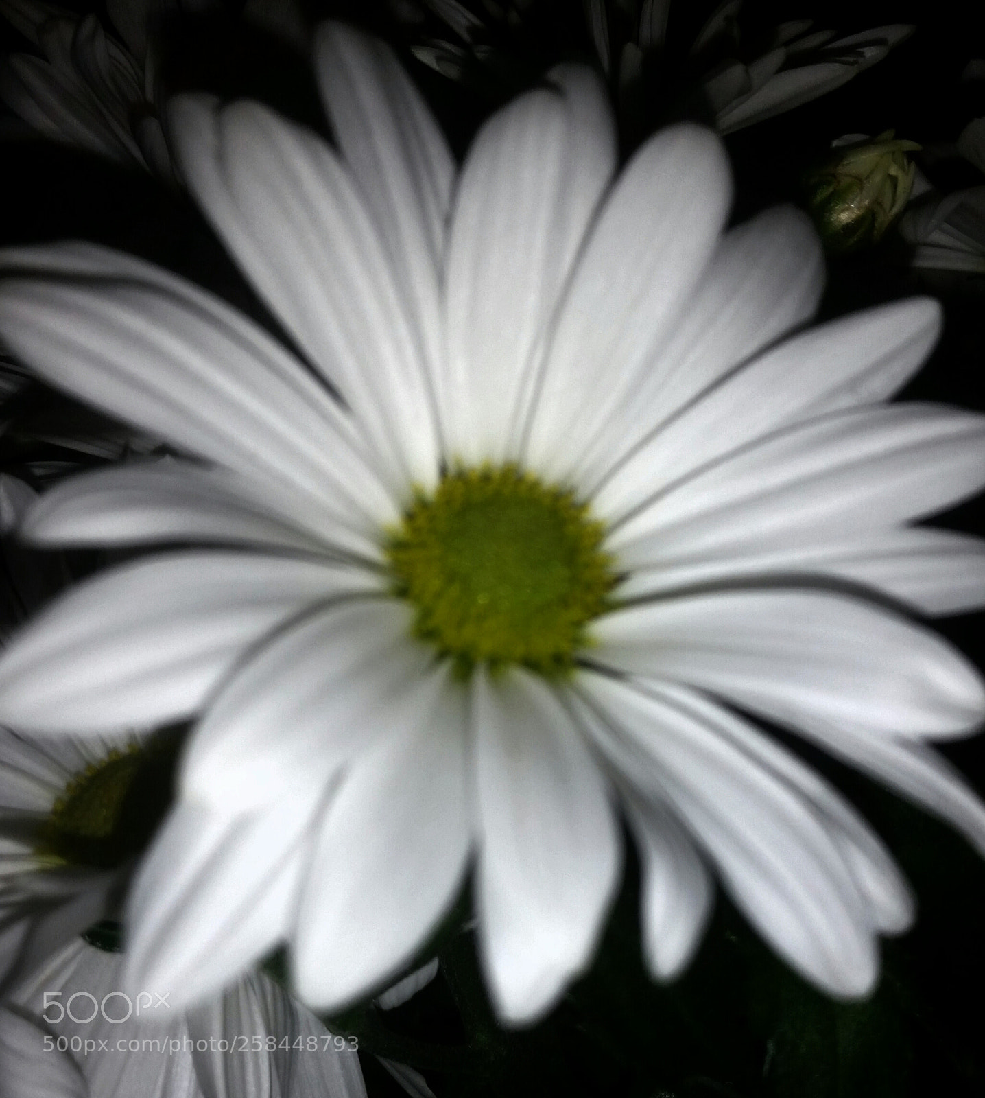 Samsung Galaxy S5 sample photo. 2016-04-27 20.01.41.jpg photography