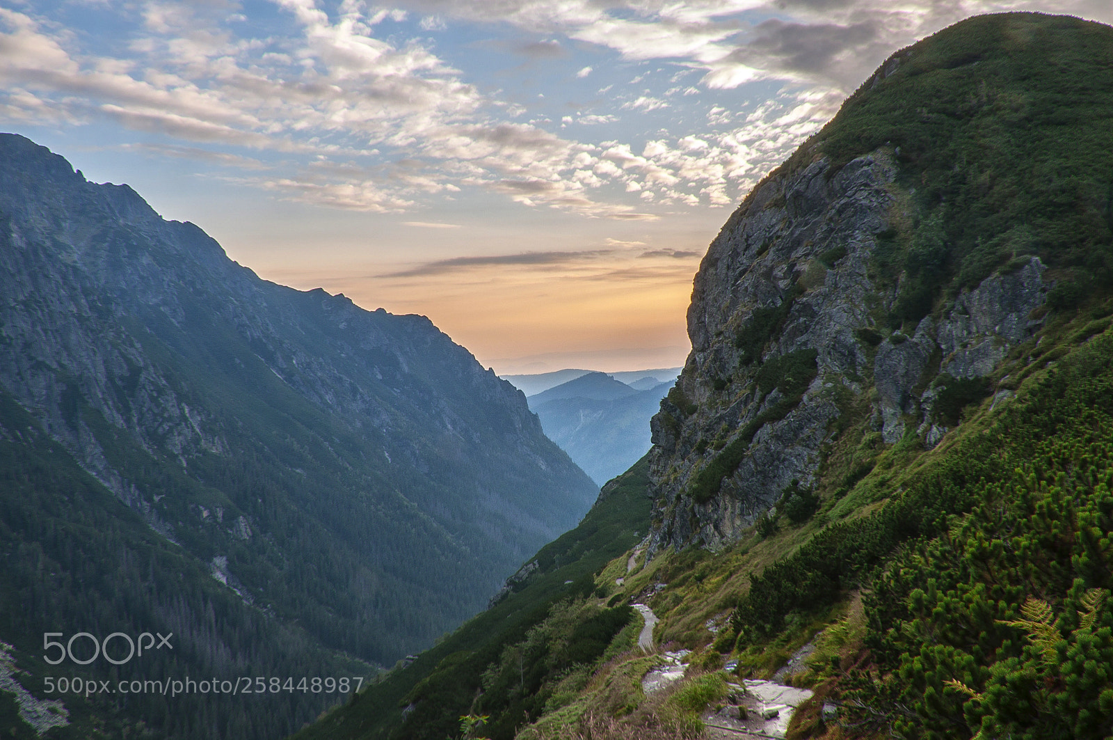 Nikon D5000 sample photo. Morning in the mountains photography