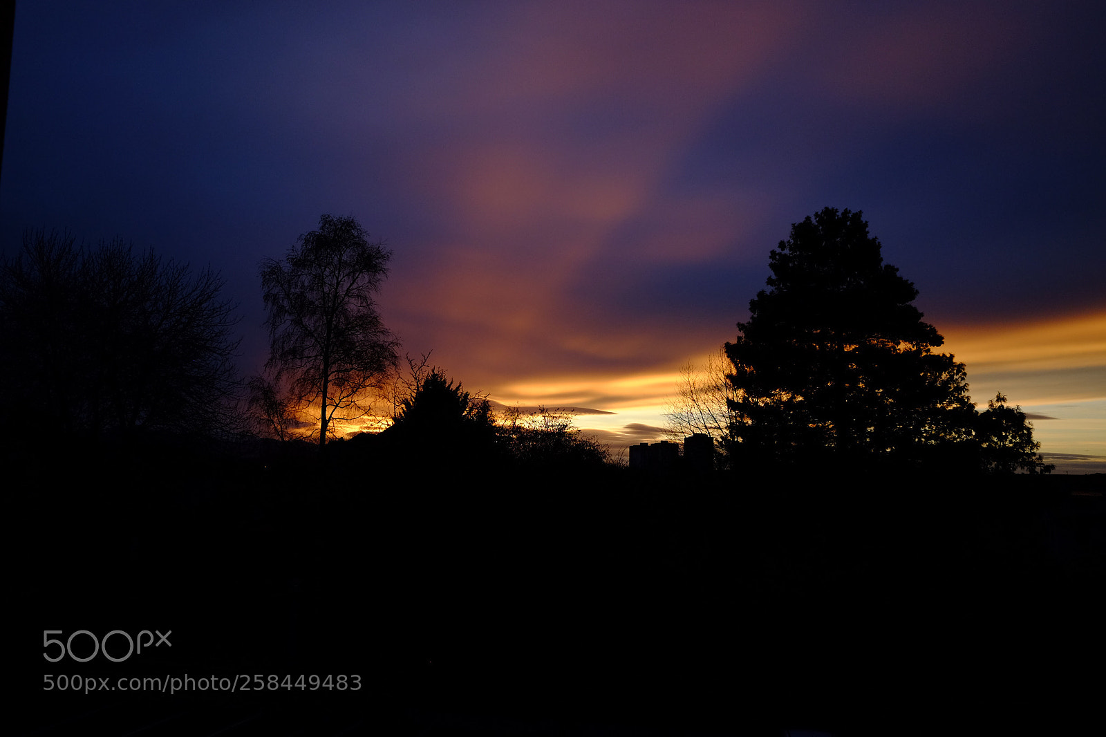 Fujifilm X70 sample photo. Untitled photography