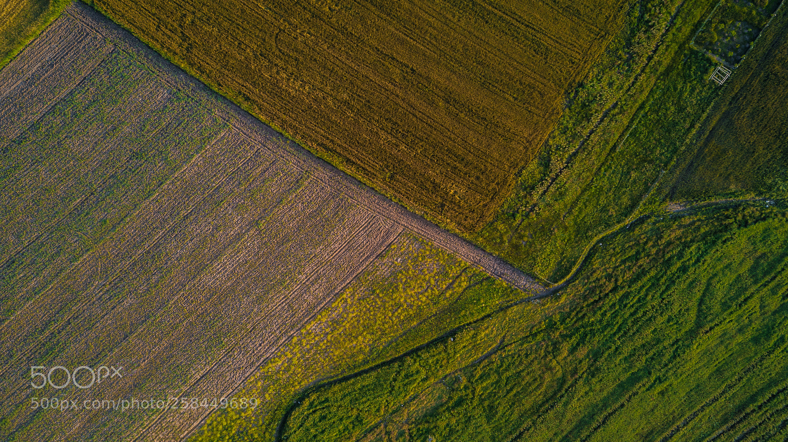 DJI FC220 sample photo. Linear photography