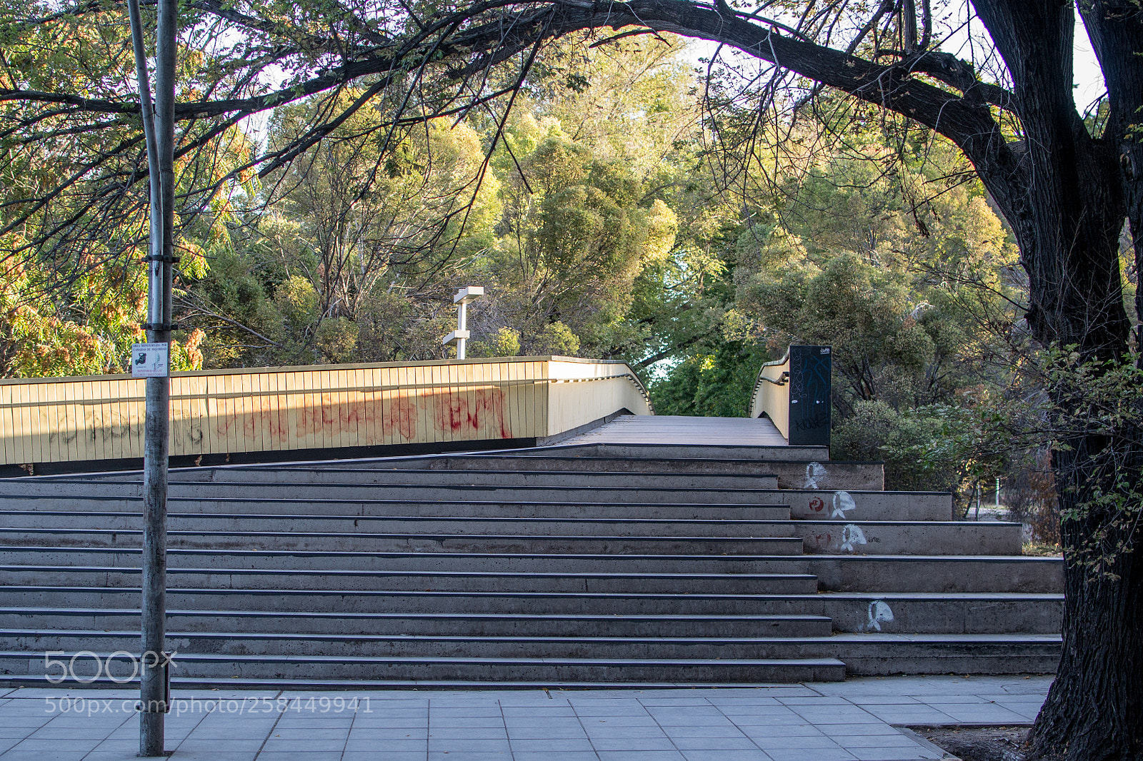 Nikon D3100 sample photo. Bridge photography