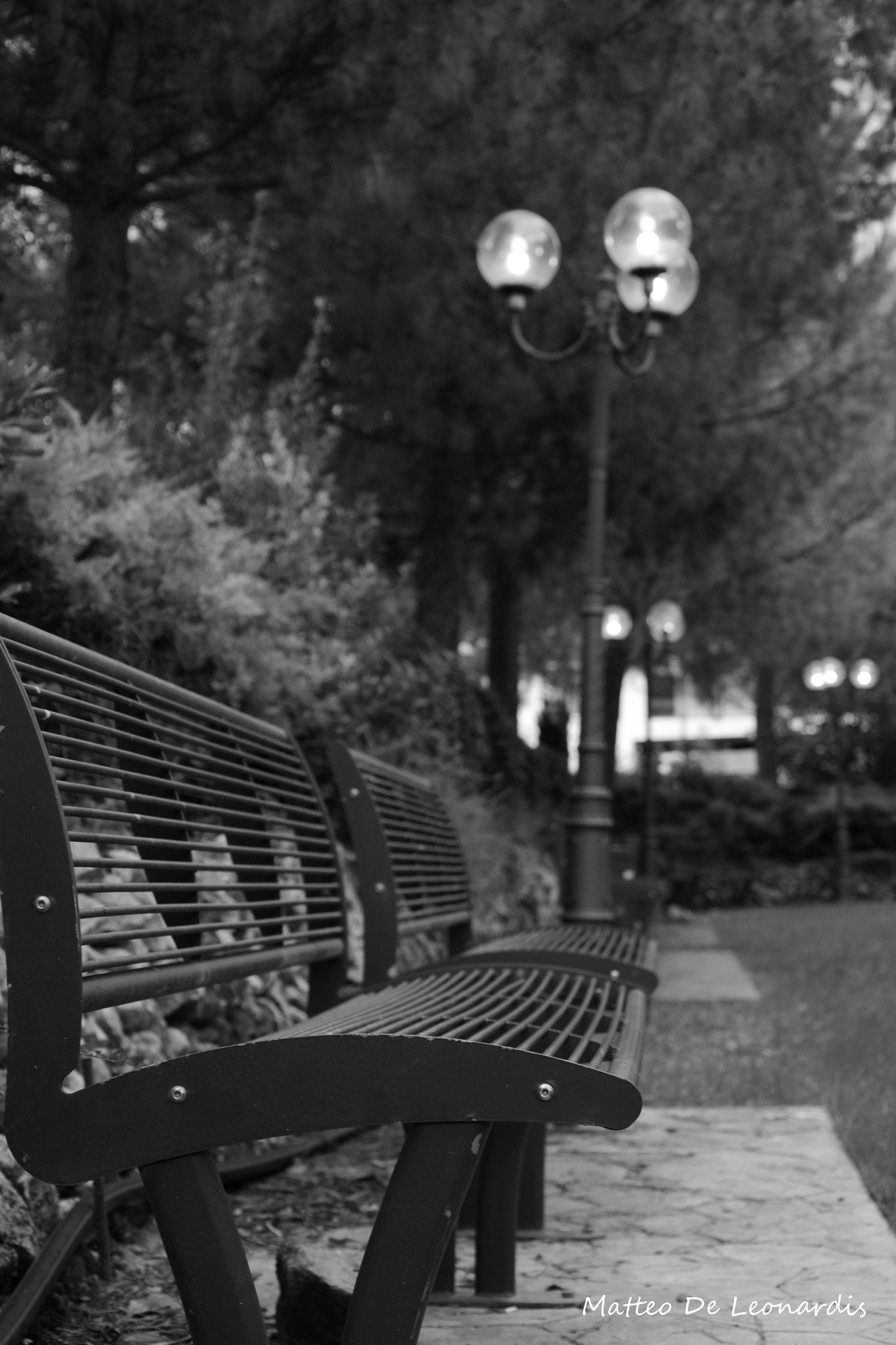 Nikon D3100 sample photo. Bco photography