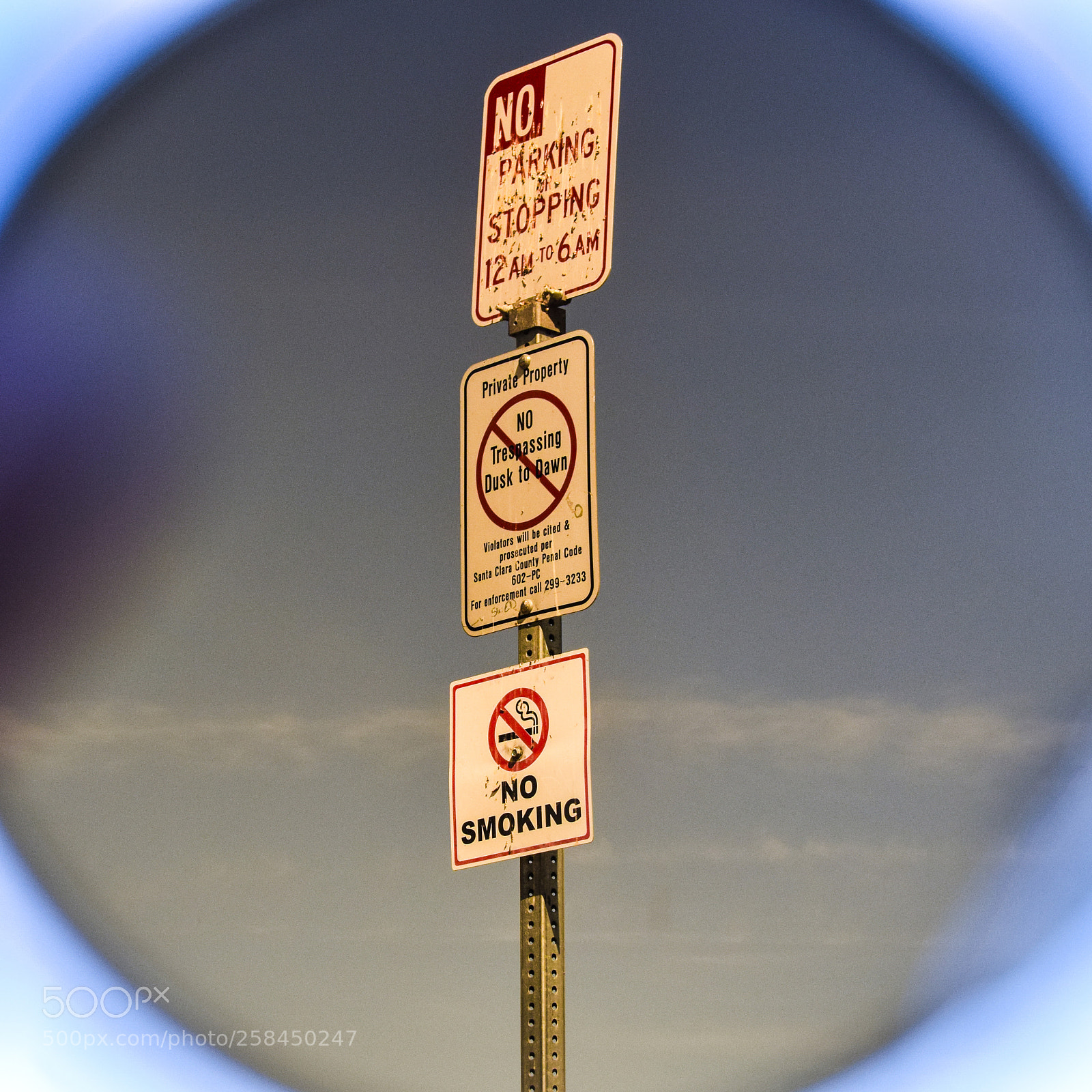 Nikon D5300 sample photo. Instructions photography