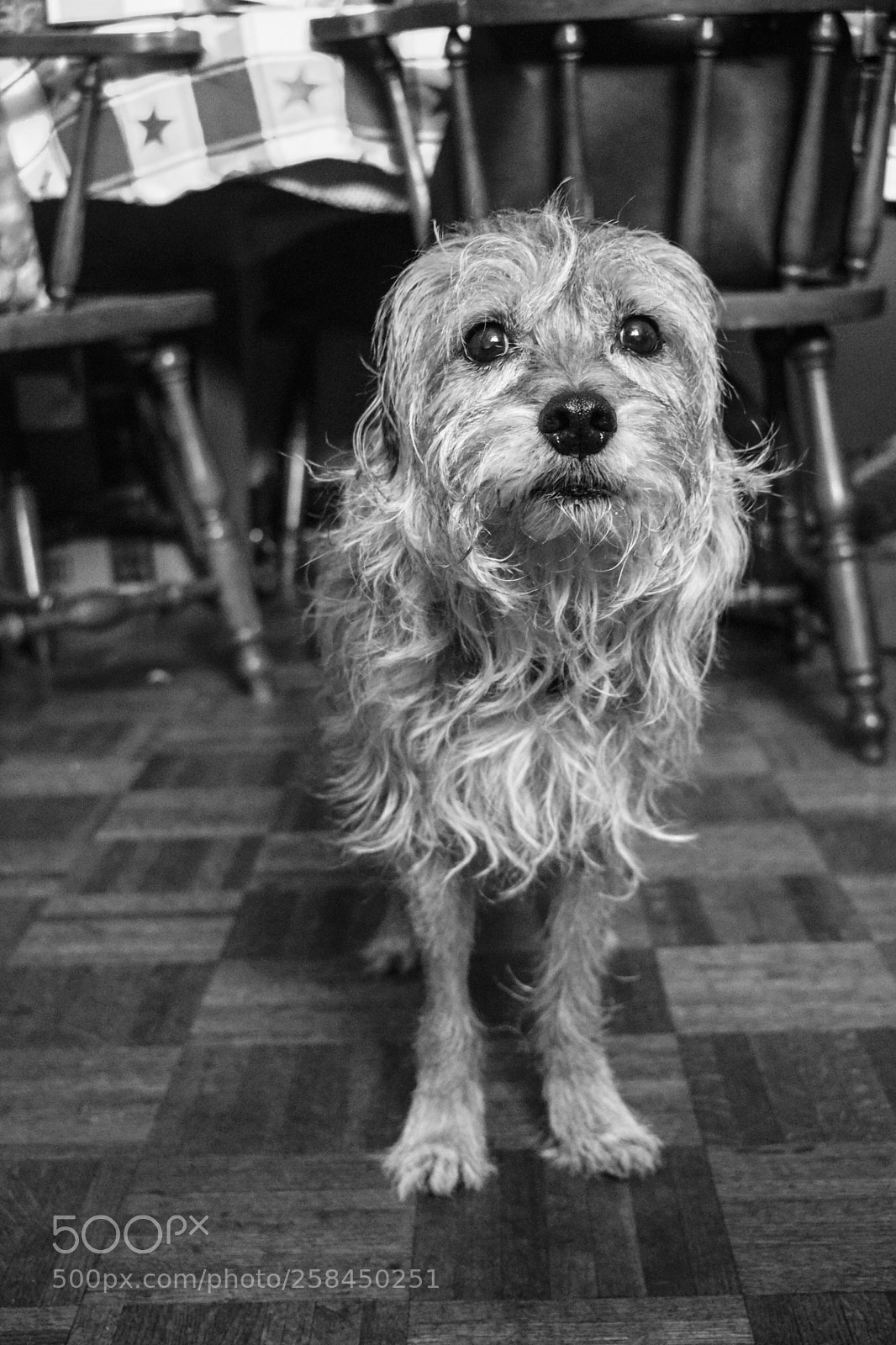 Nikon D5300 sample photo. Instructions photography