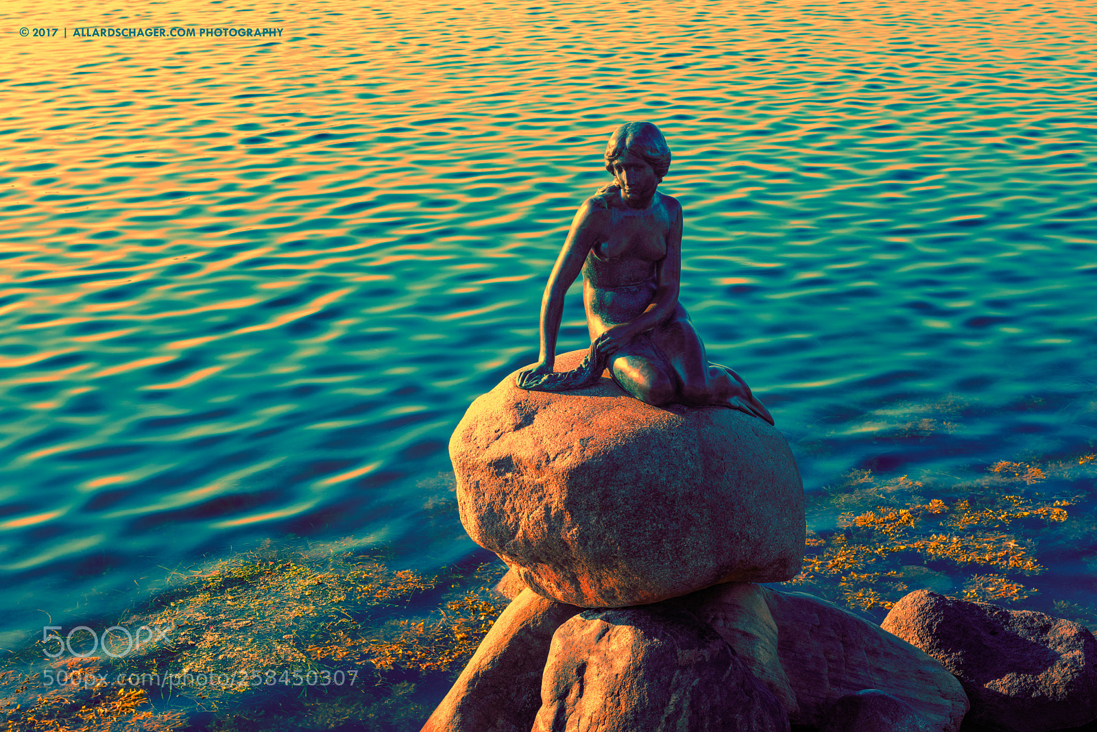 Nikon D810 sample photo. Mermaid on the rocks photography