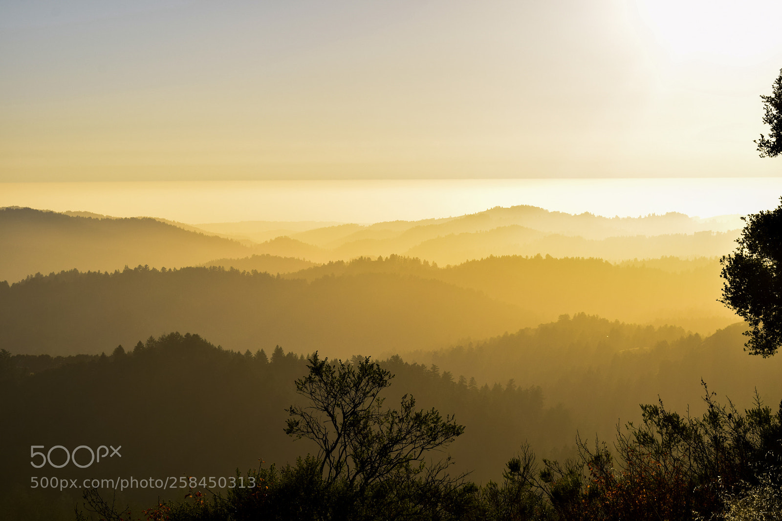 Nikon D5300 sample photo. Landscape photography