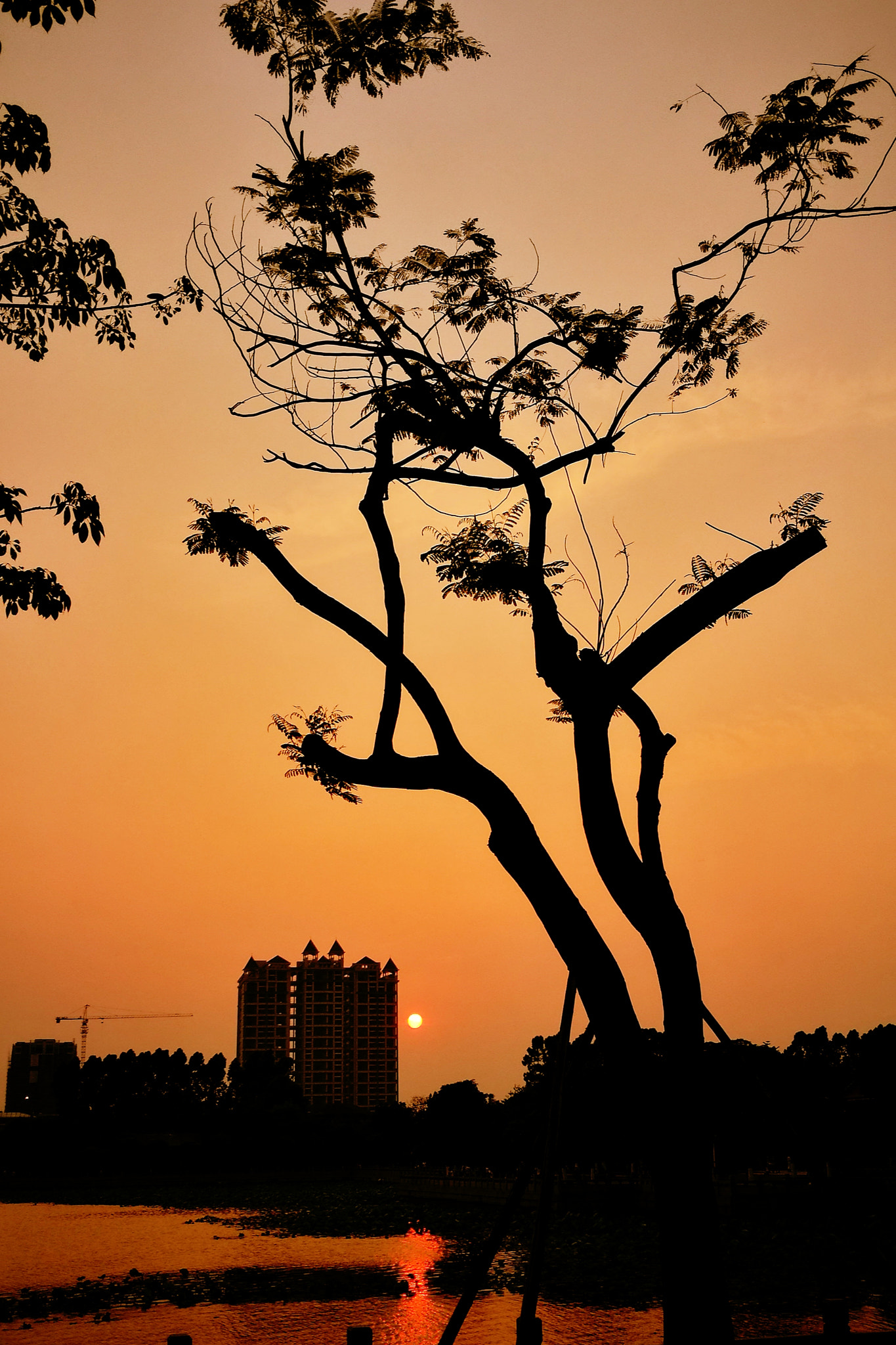 HUAWEI P9 Plus sample photo. Sunset-1 photography