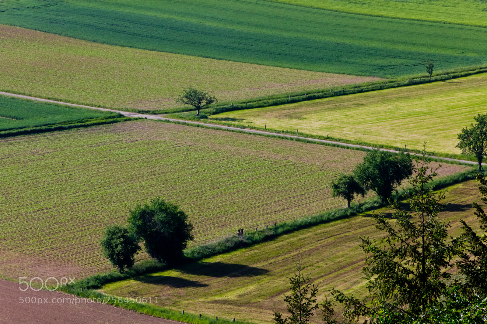 Canon EOS 60D sample photo. Farmers world photography