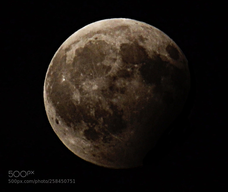 Nikon D3100 sample photo. Luna photography