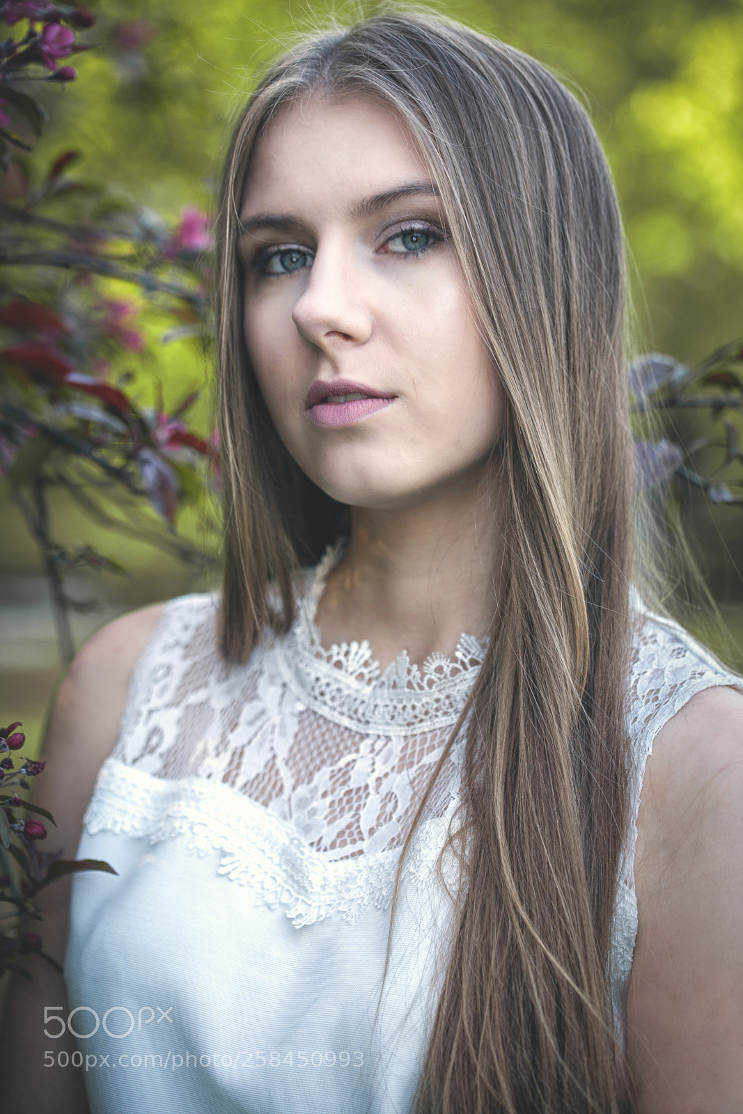 Canon EOS 5D sample photo. 3.jpg photography