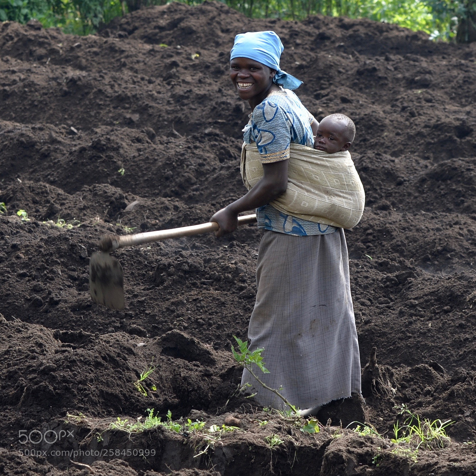 Nikon Df sample photo. Farm work photography