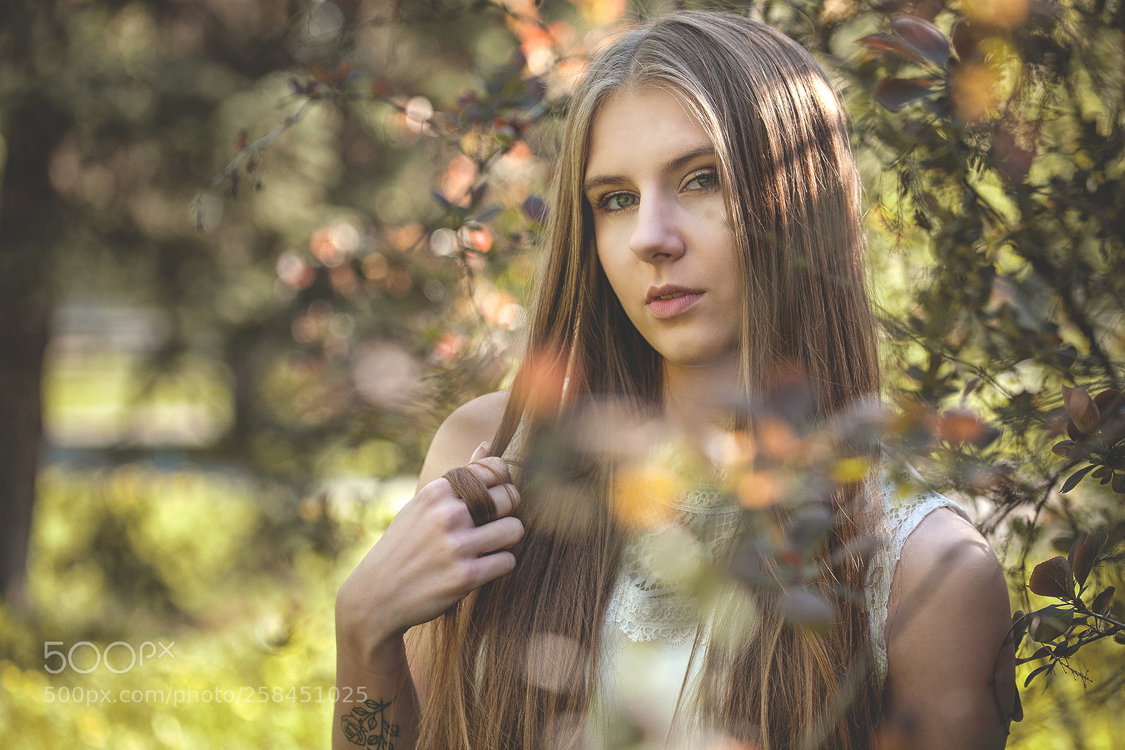 Canon EOS 5D sample photo. 9.jpg photography