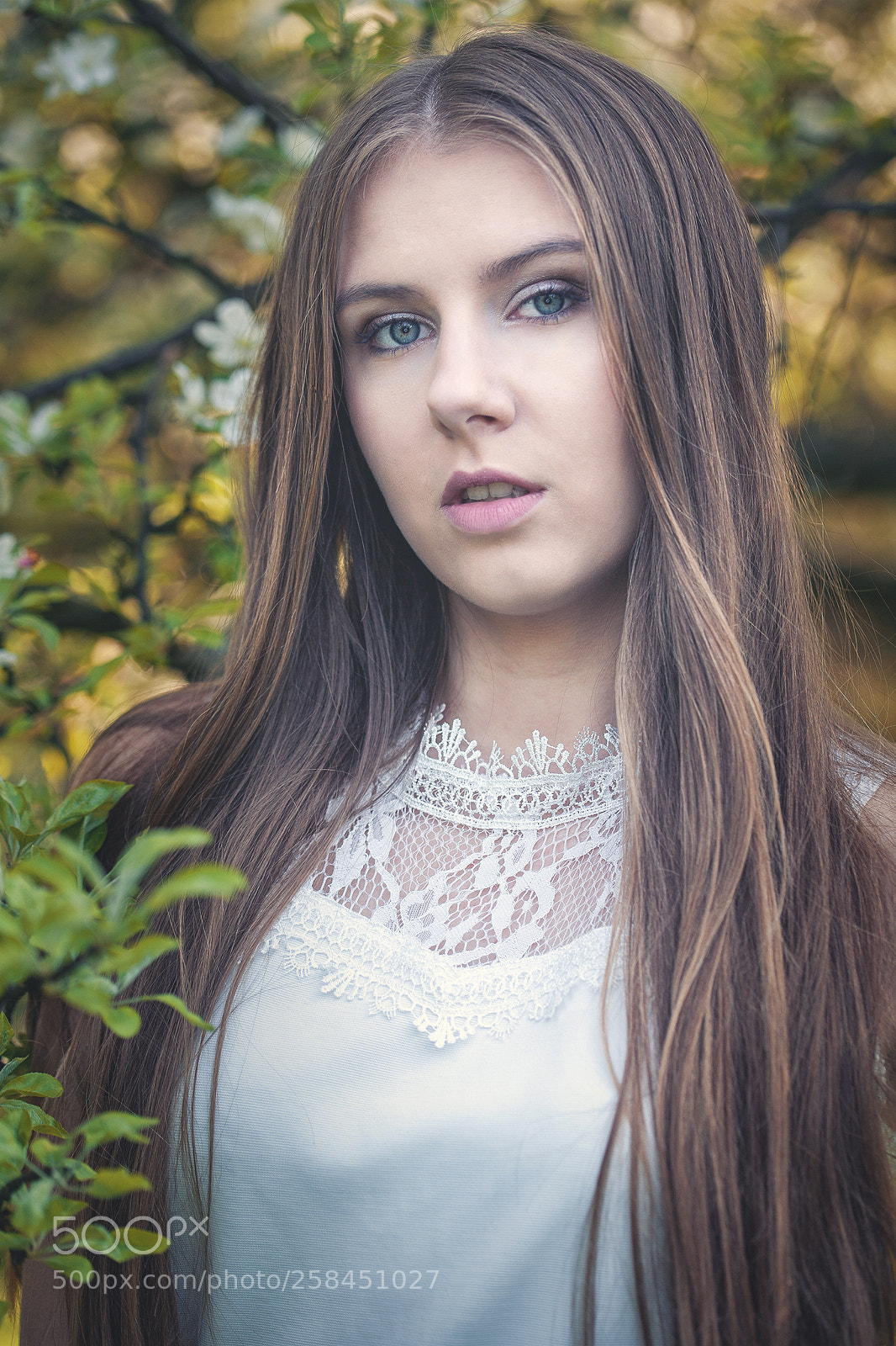 Canon EOS 5D sample photo. 1.jpg photography