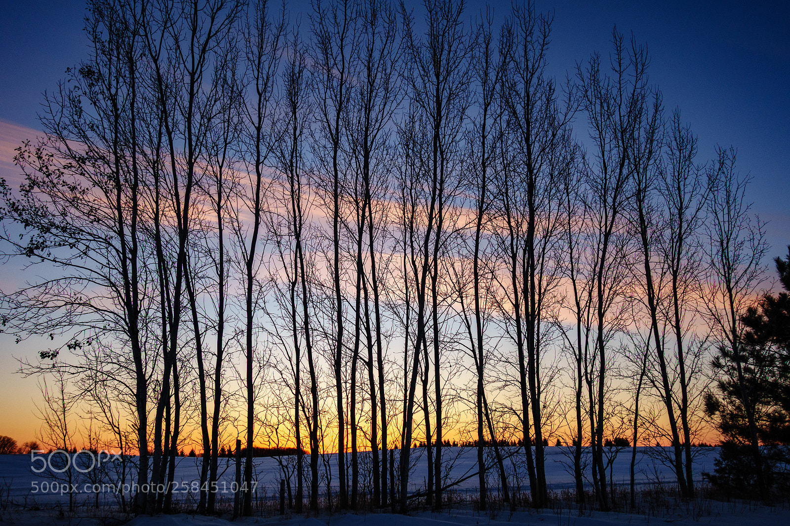 Sony Cyber-shot DSC-RX100 II sample photo. Sunrise landscape - 03-13-2018 photography
