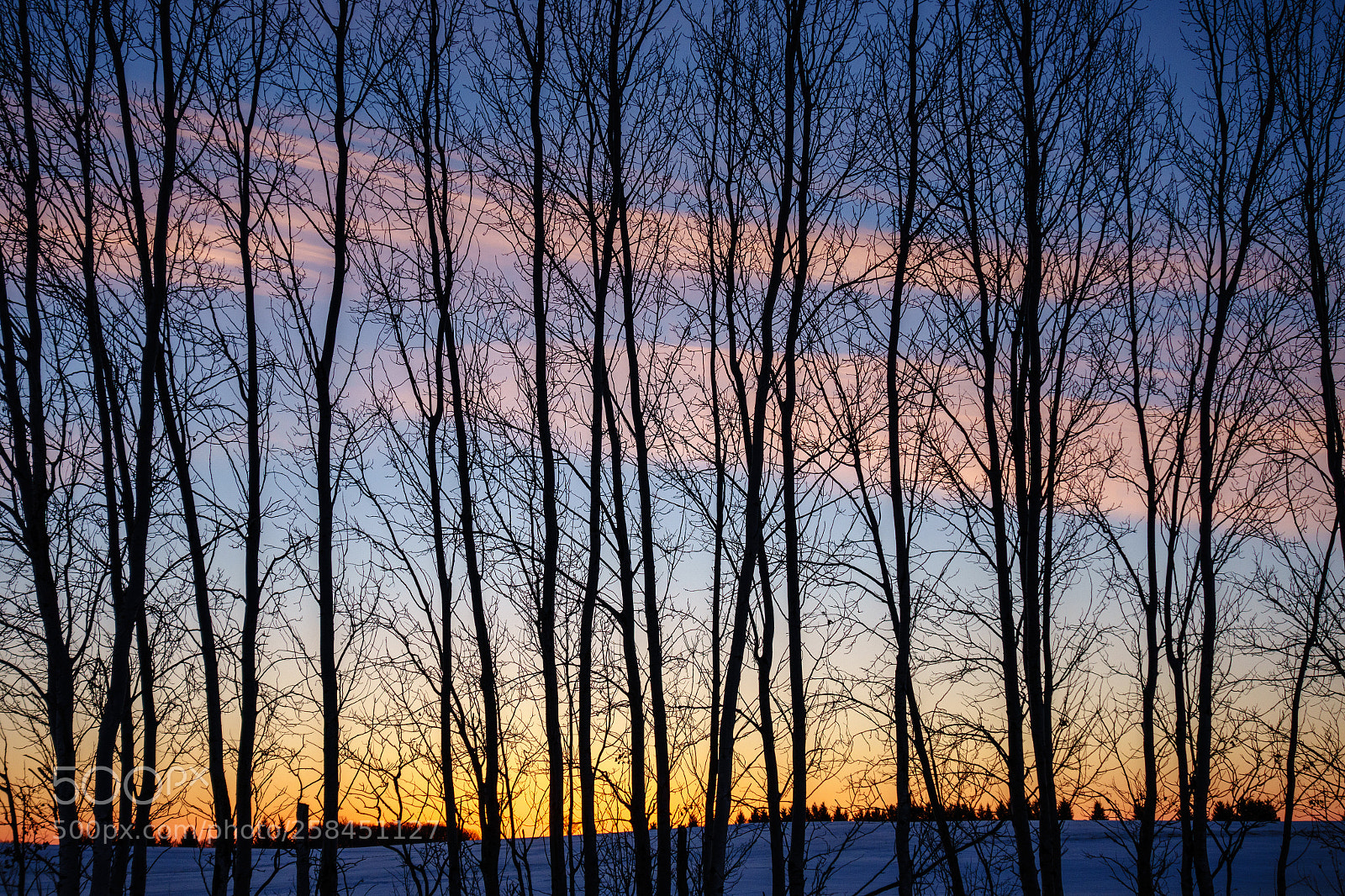 Sony Cyber-shot DSC-RX100 II sample photo. Sunrise landscape - 03-13-2018 photography