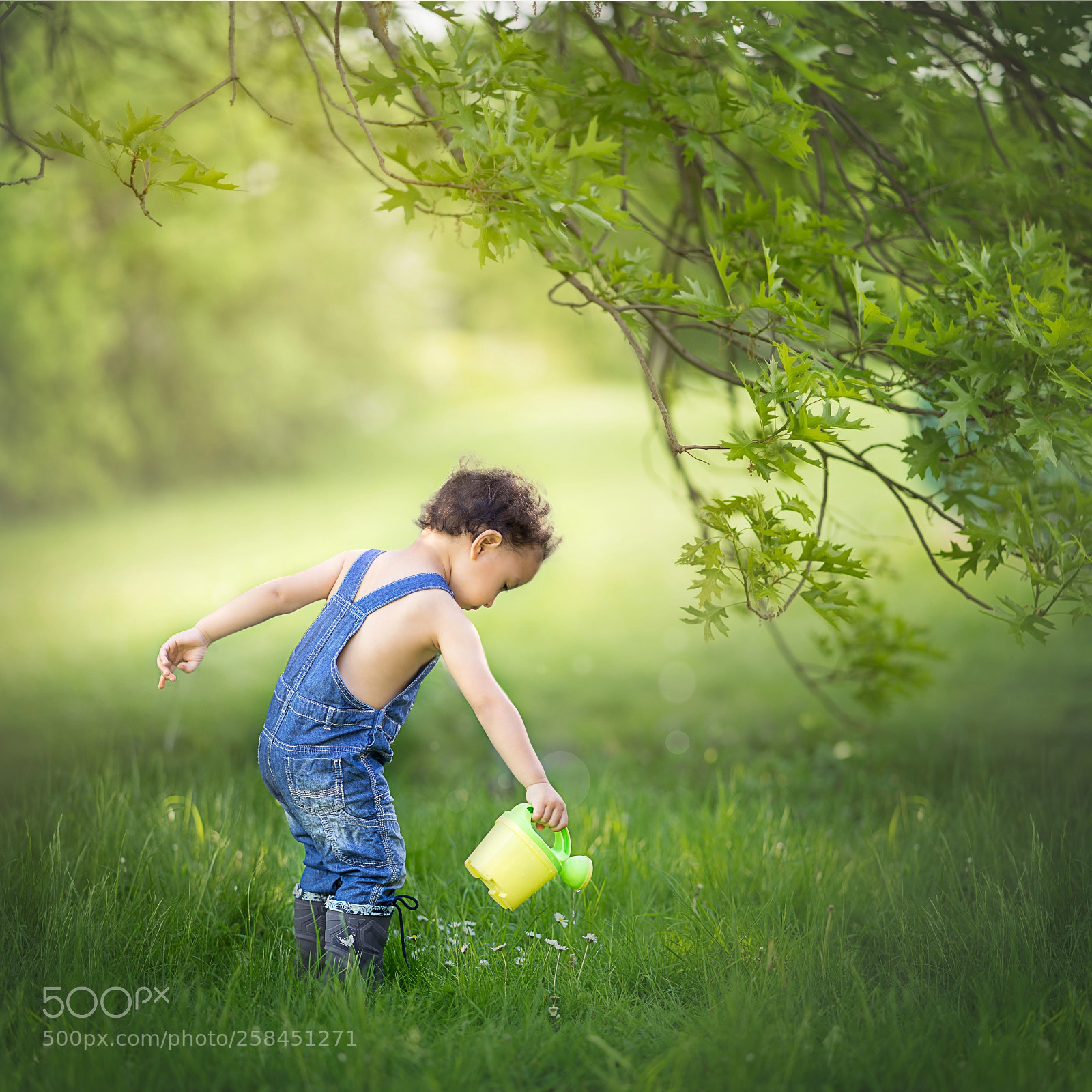 Sony a7 II sample photo. Nature is love photography