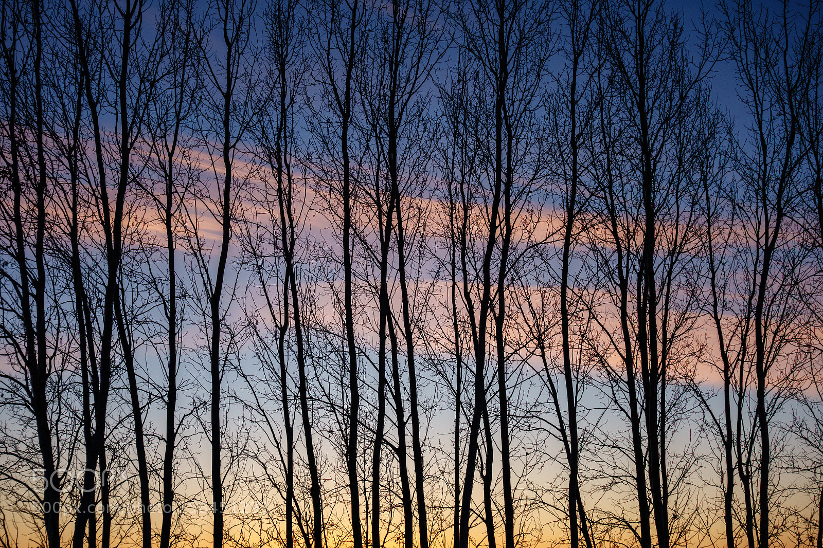 Sony Cyber-shot DSC-RX100 II sample photo. Sunrise landscape - 03-13-2018 photography