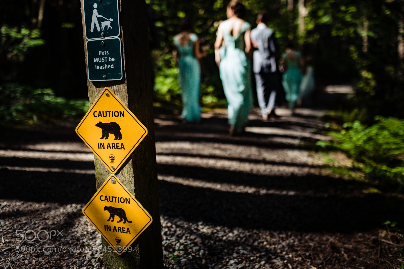 Nikon D850 sample photo. Untitled photography