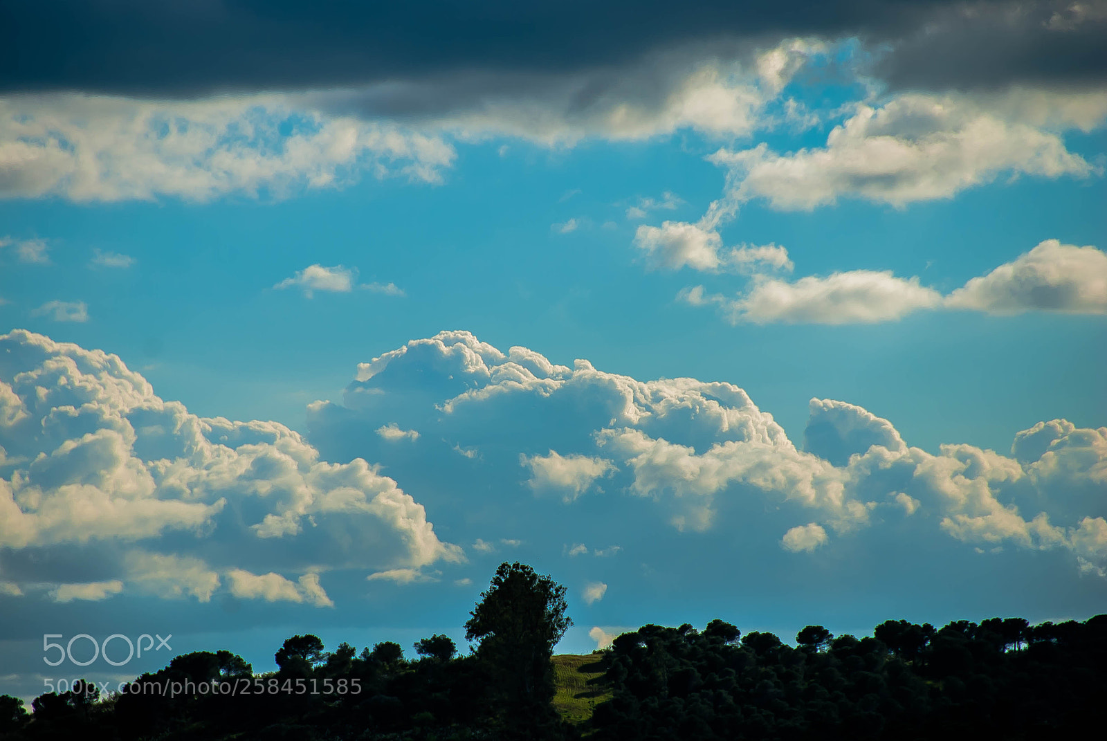 Nikon D60 sample photo. A path... the clouds photography