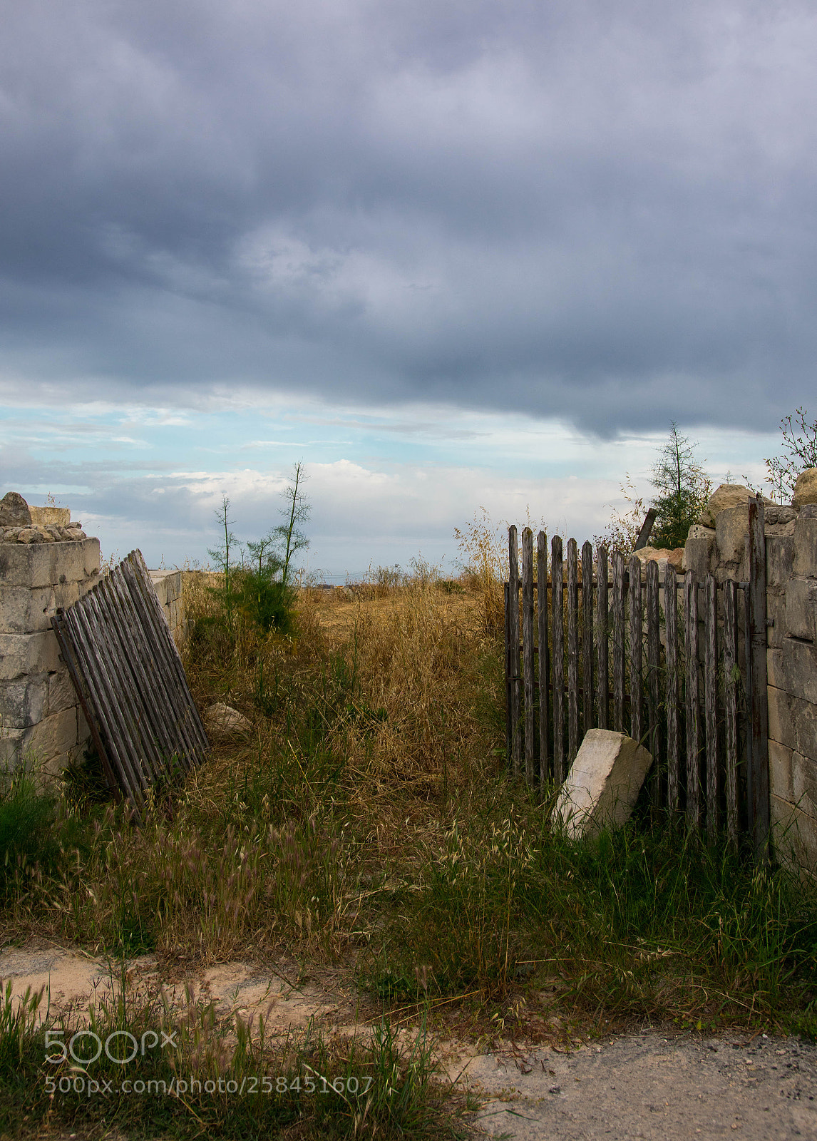 Nikon D3400 sample photo. Broken gate photography