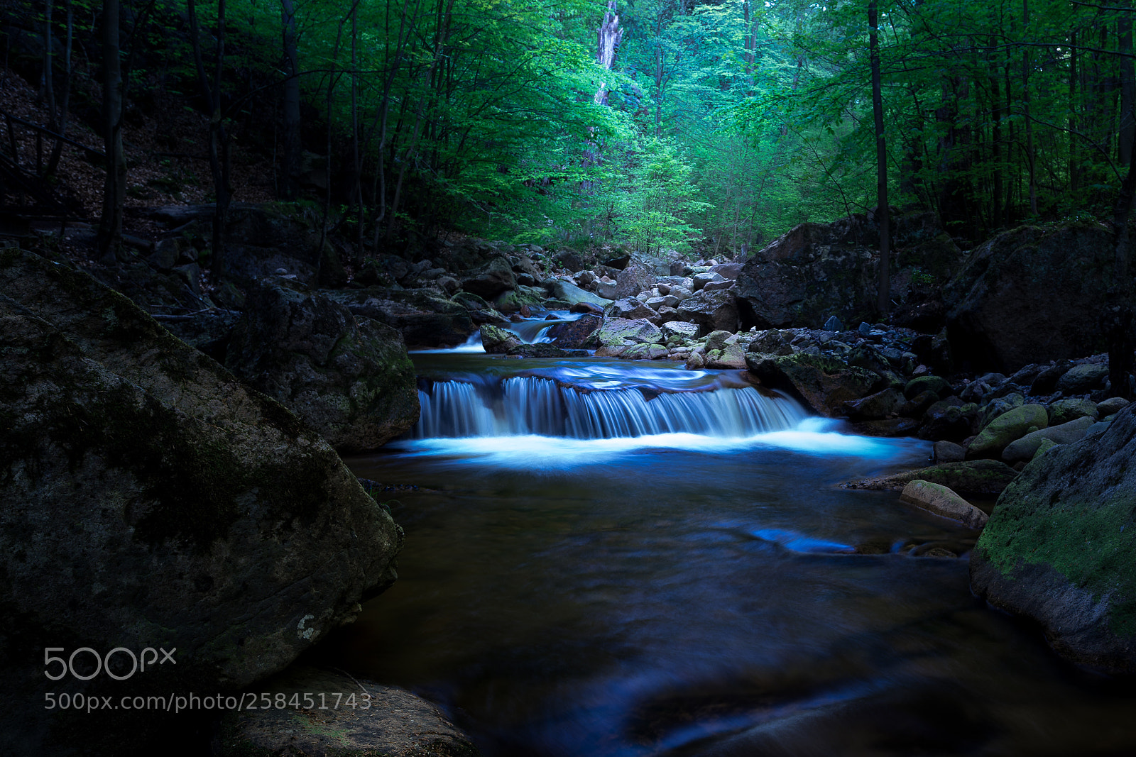 Sony a7 II sample photo. Ilsetal photography