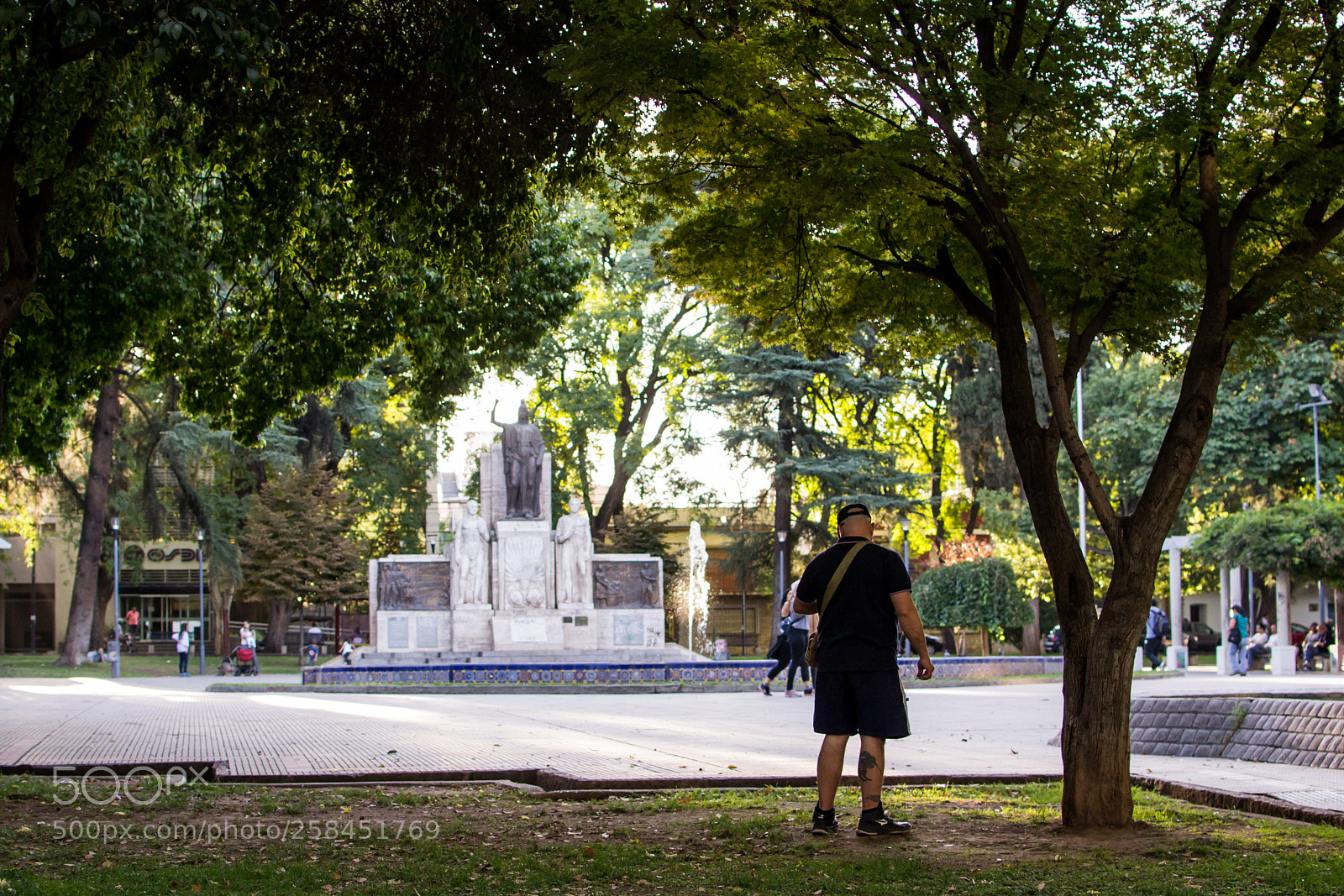 Nikon D3100 sample photo. By the tree photography