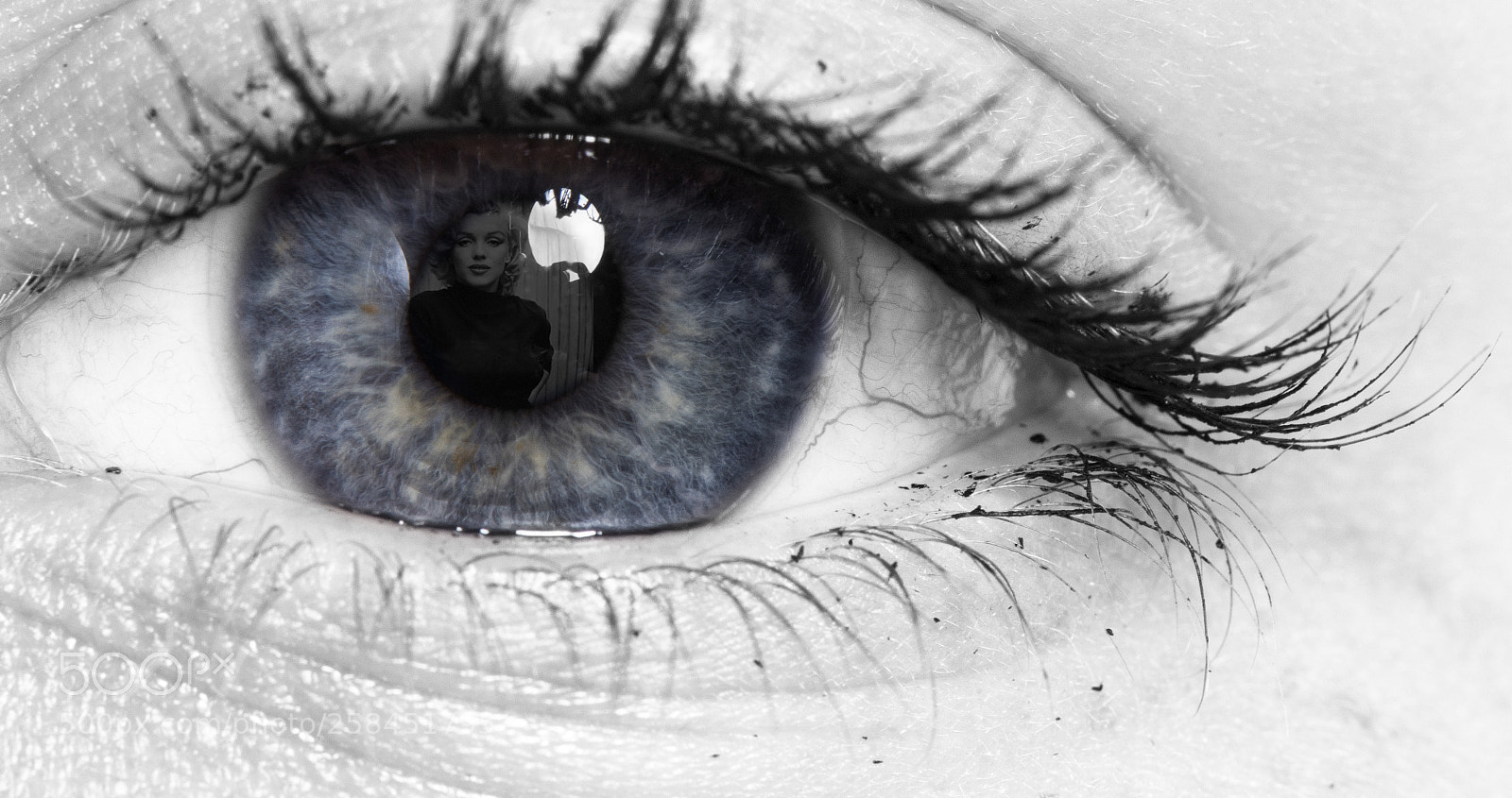 Nikon D810 sample photo. Eye portrait 2 photography