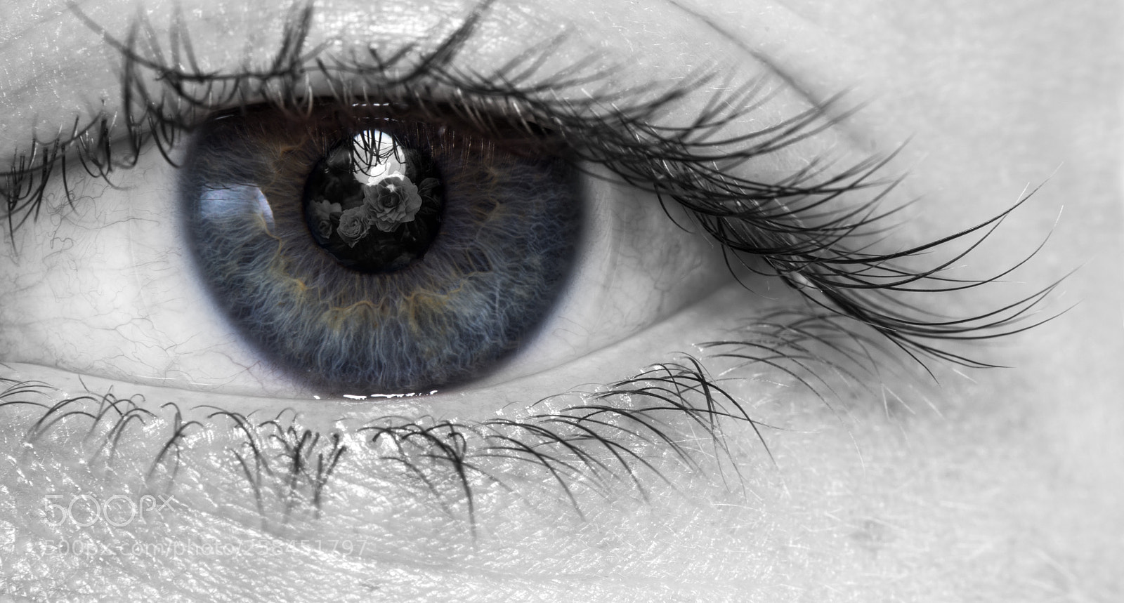 Nikon D810 sample photo. Eye portrait 1 photography
