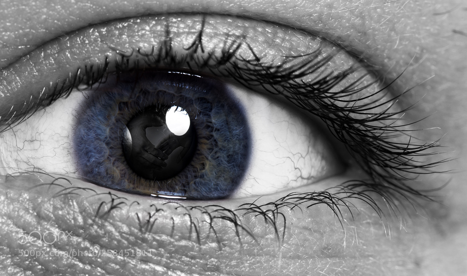Nikon D810 sample photo. Eye portrait 5 photography
