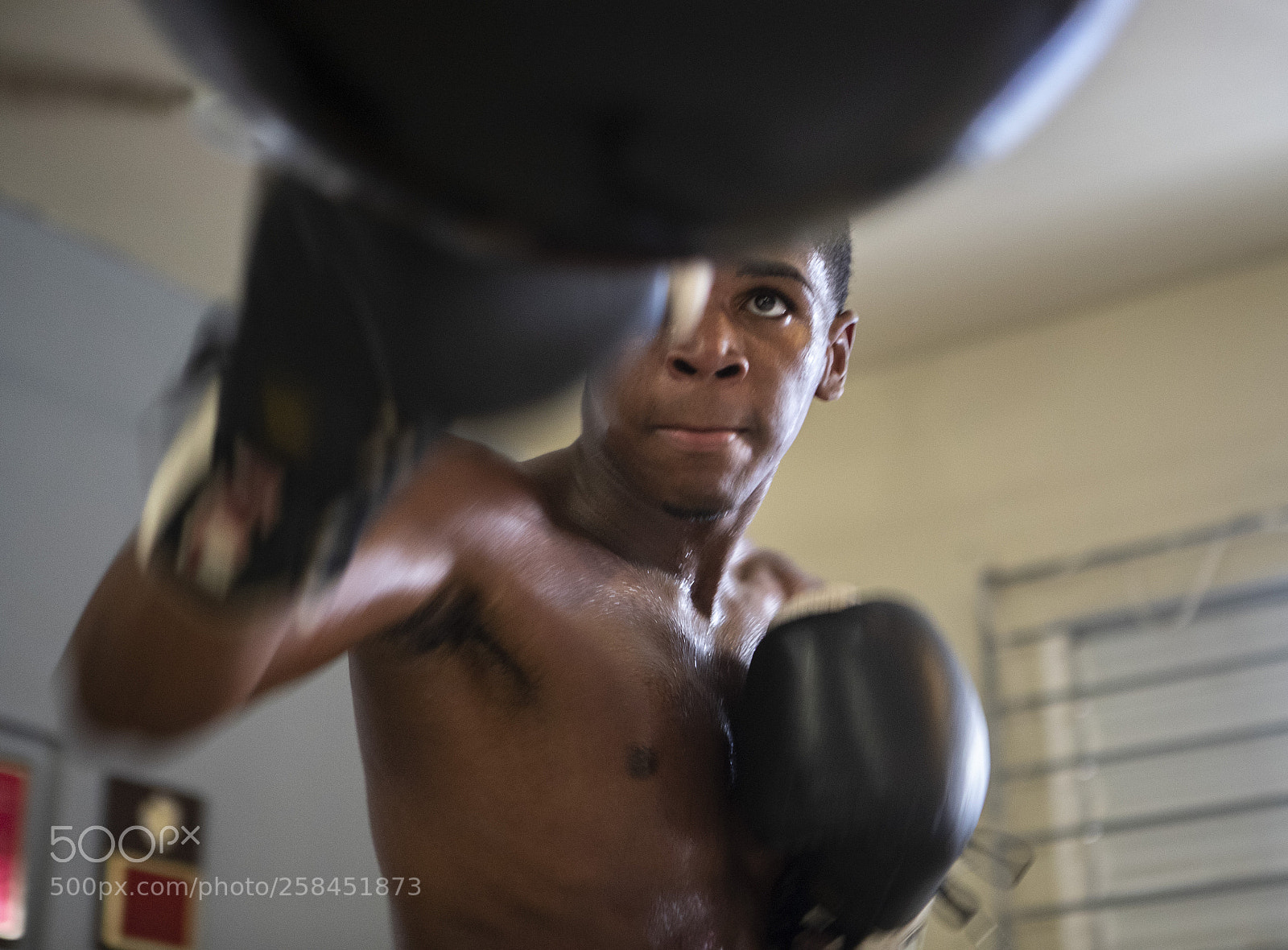 Canon EOS-1D X Mark II sample photo. Puerto rico, 2017 photography