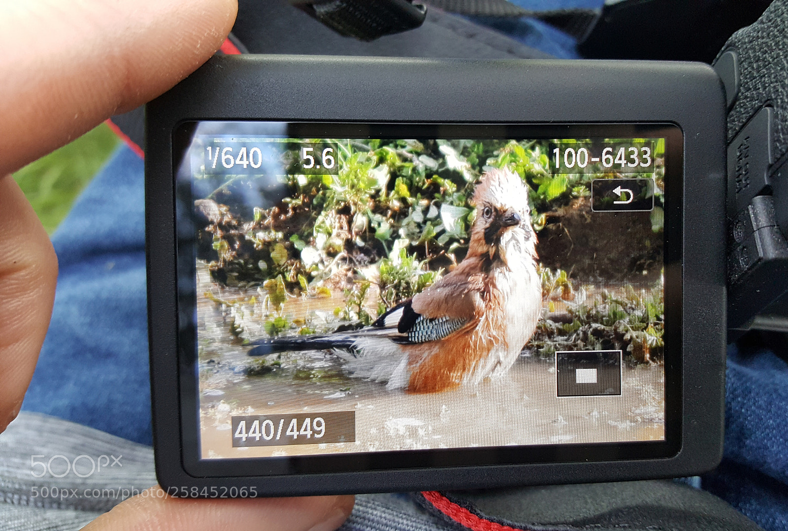 Samsung Galaxy S6 sample photo. Untitled photography