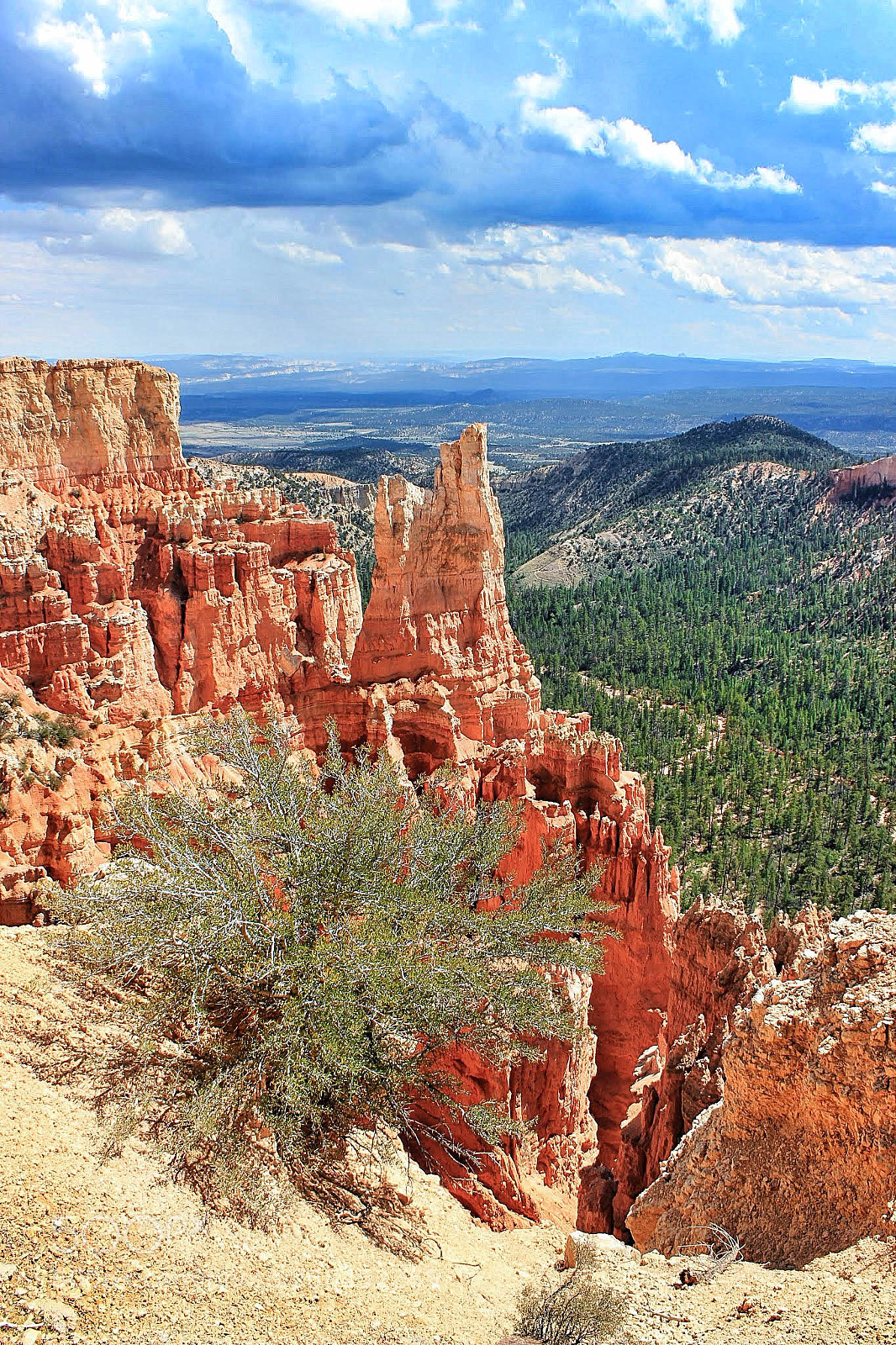 Canon EOS 600D (Rebel EOS T3i / EOS Kiss X5) sample photo. Bryce canyon photography