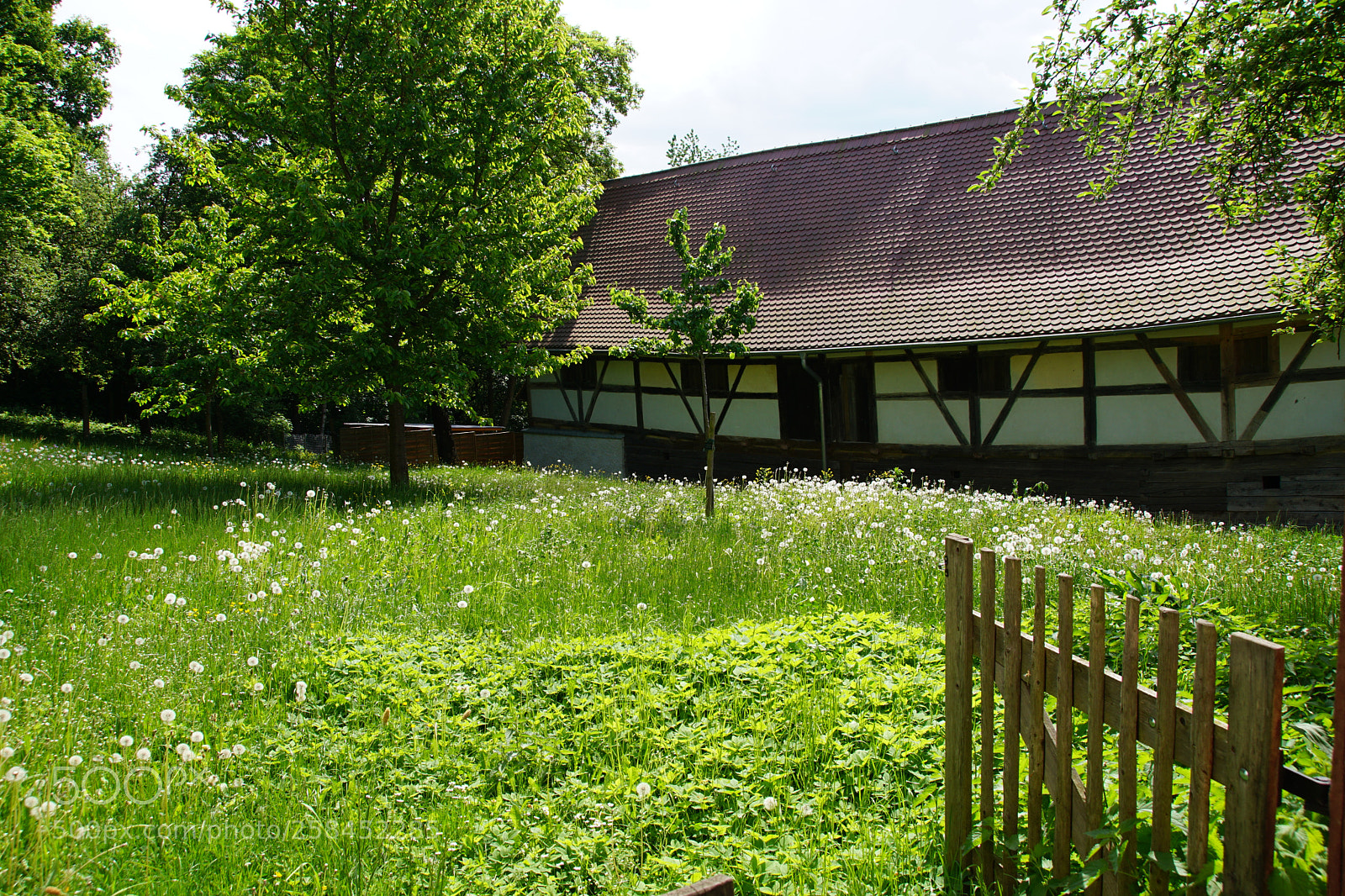 Sony ILCA-77M2 sample photo. Old house in spring photography