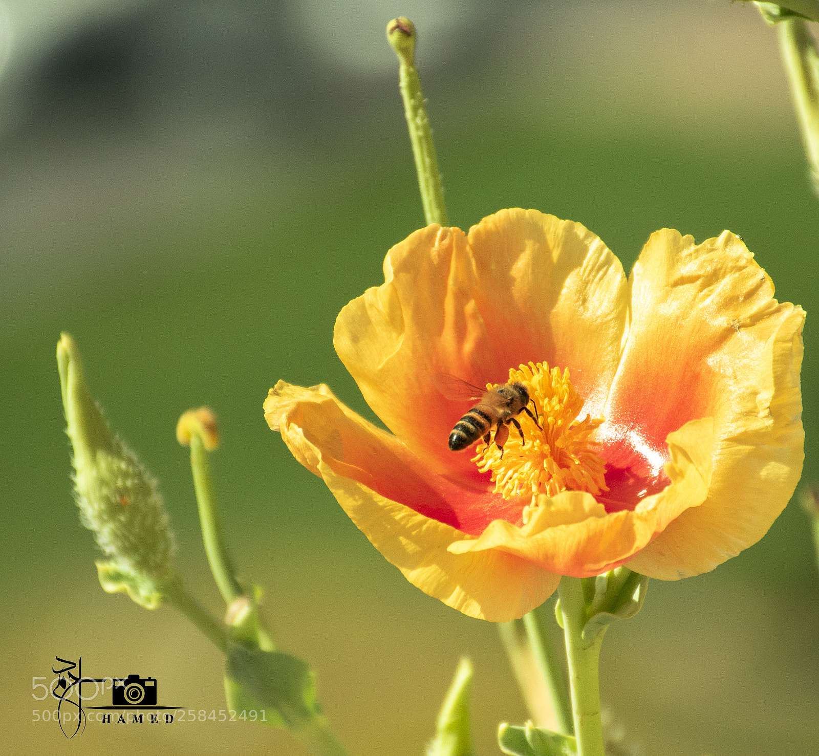 Nikon D5600 sample photo. Untitled photography