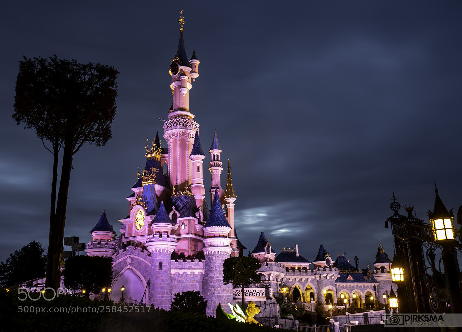 Sony a7R III sample photo. It's a kind of photography