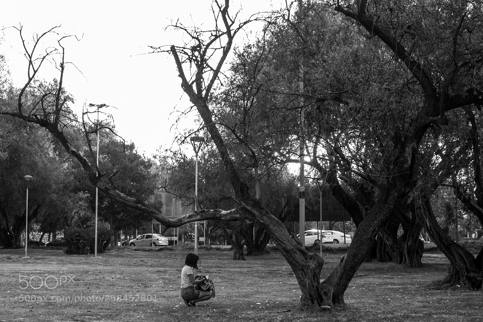 Nikon D3100 sample photo. Campsite photography