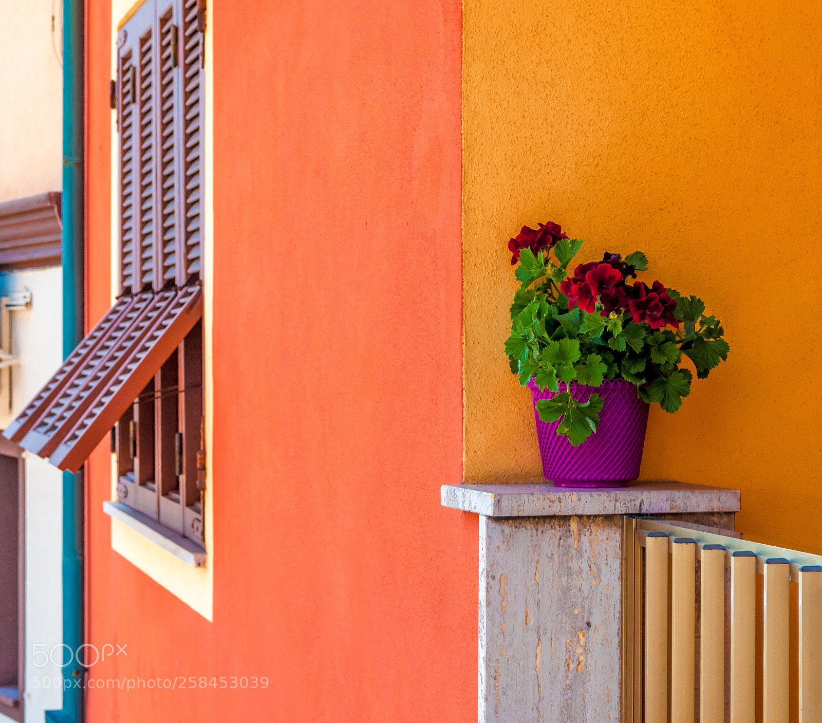 Nikon D90 sample photo. Purple flowerpot on colored photography