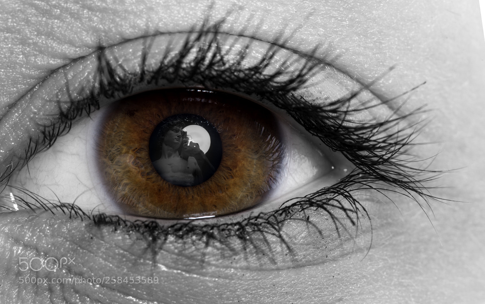 Nikon D810 sample photo. Eye portrait 12 photography