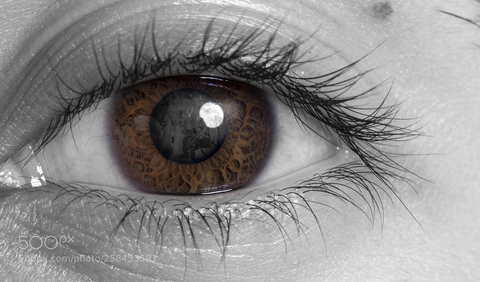 Nikon D810 sample photo. Eye portrait 10 photography