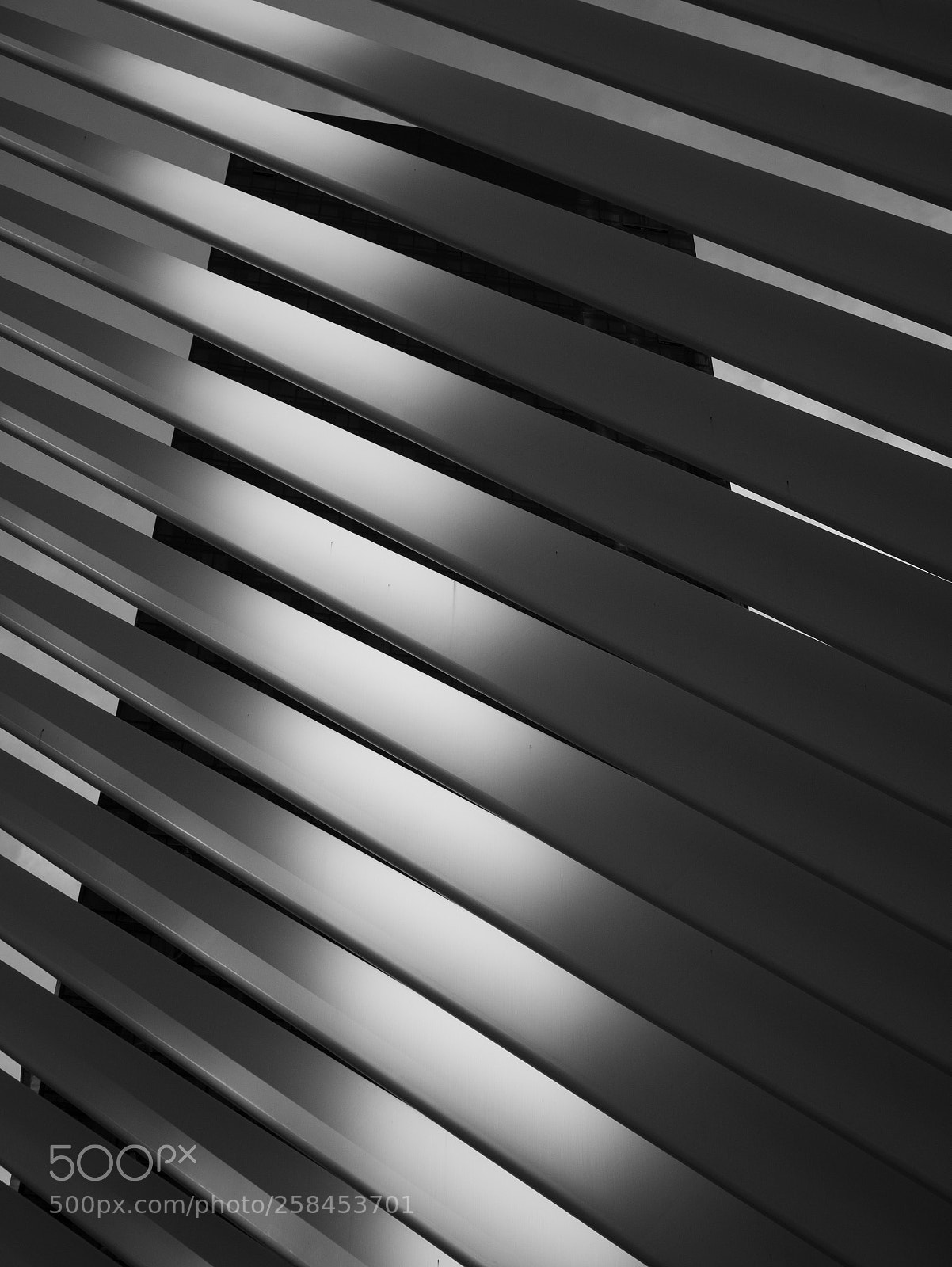Panasonic Lumix DMC-GX85 (Lumix DMC-GX80 / Lumix DMC-GX7 Mark II) sample photo. Contrasted lines photography
