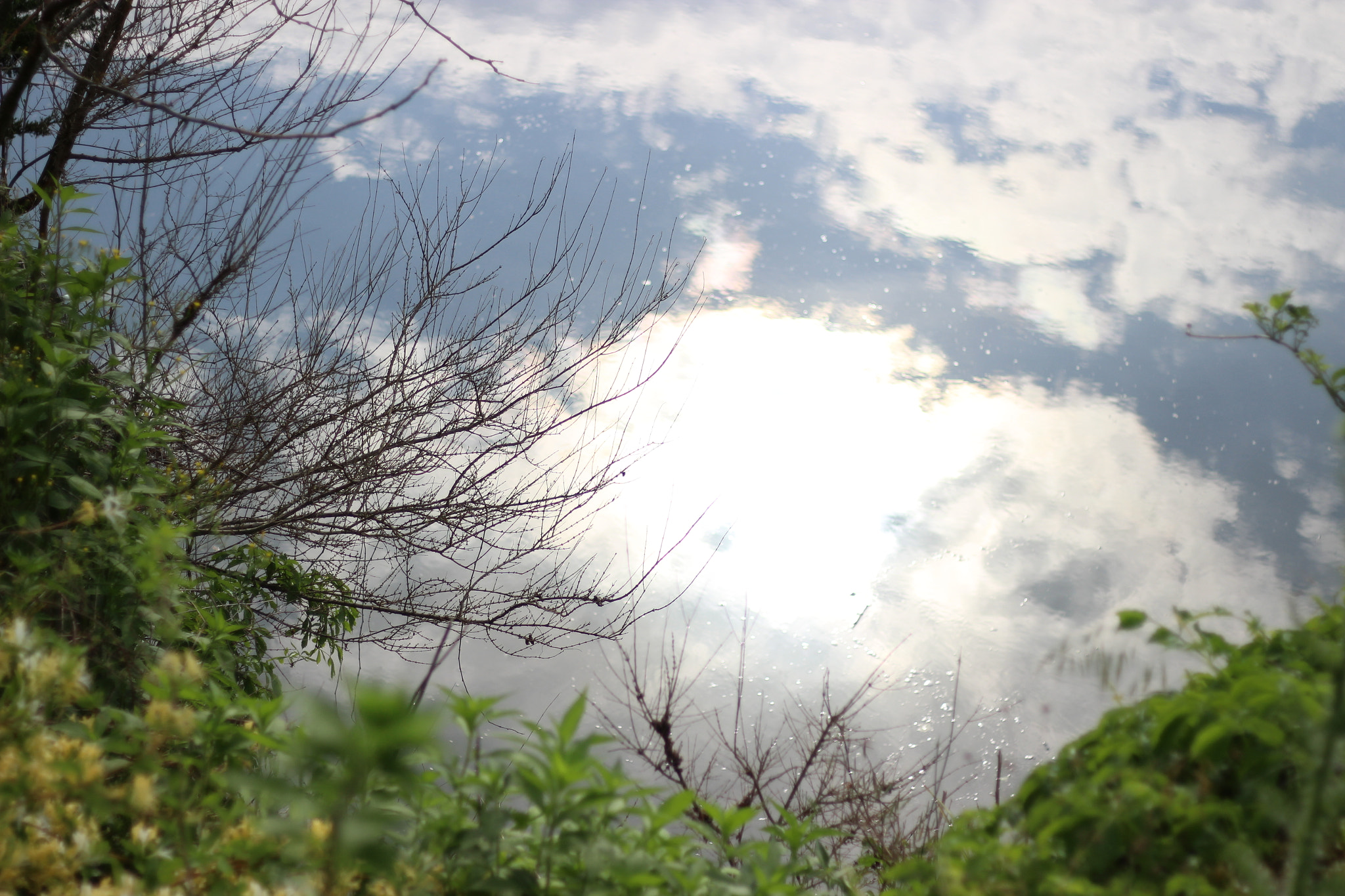 Canon EOS 600D (Rebel EOS T3i / EOS Kiss X5) sample photo. A morning in smyrna photography