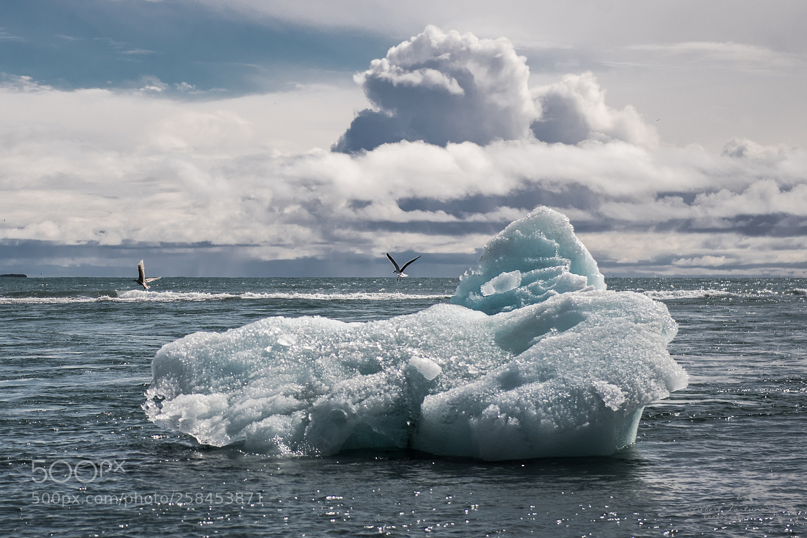 Nikon D5 sample photo. Iceland photography